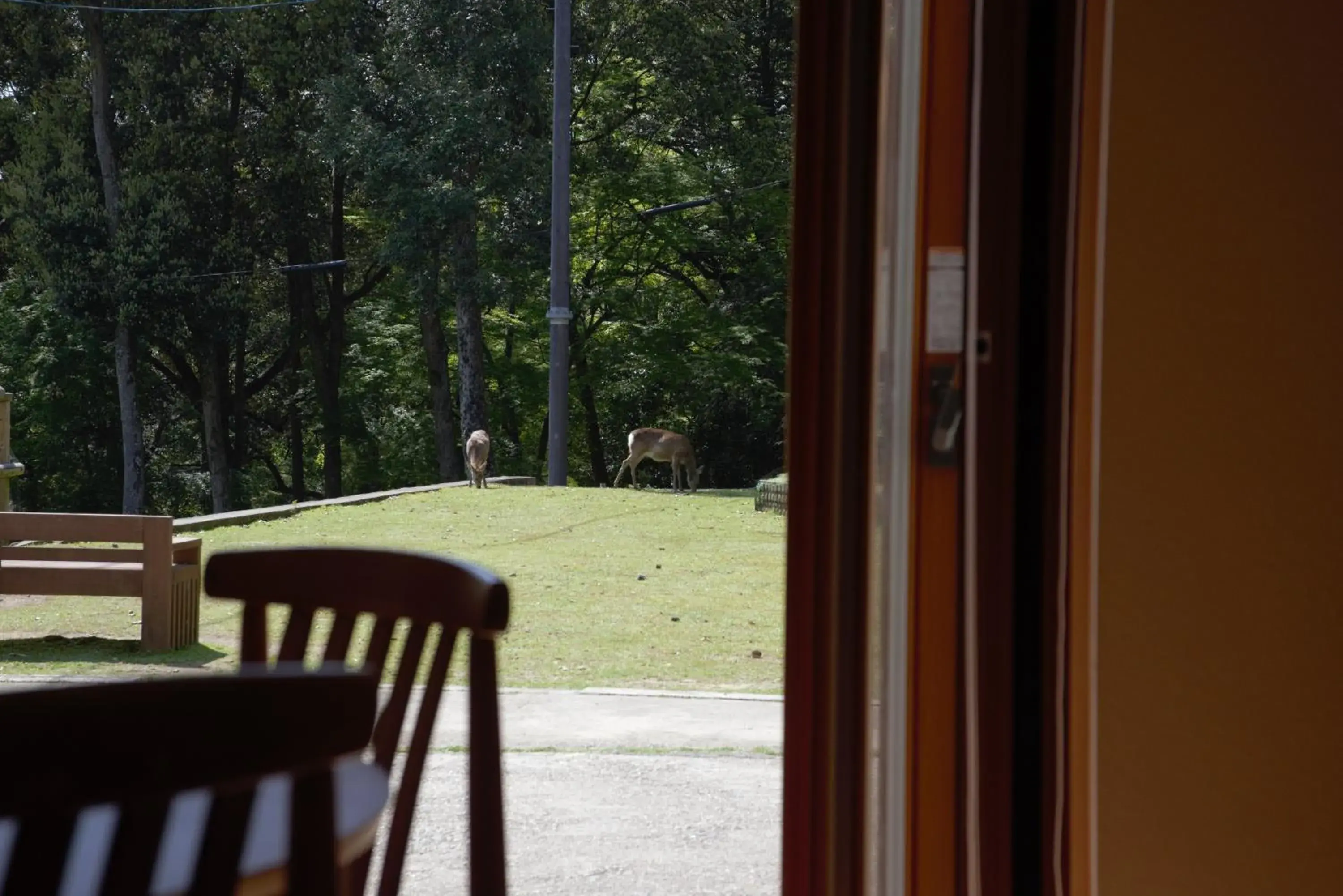 Mountain Home Lodge in Deer Park Mountain Home Lodge in Deer Park