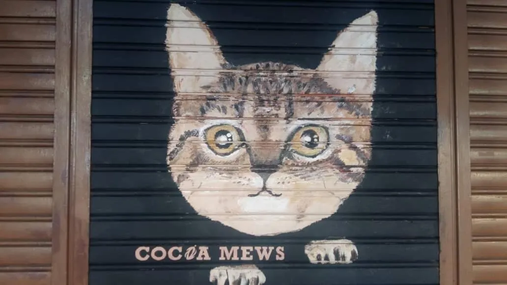 Cocoa Mews Cafe and Homestay