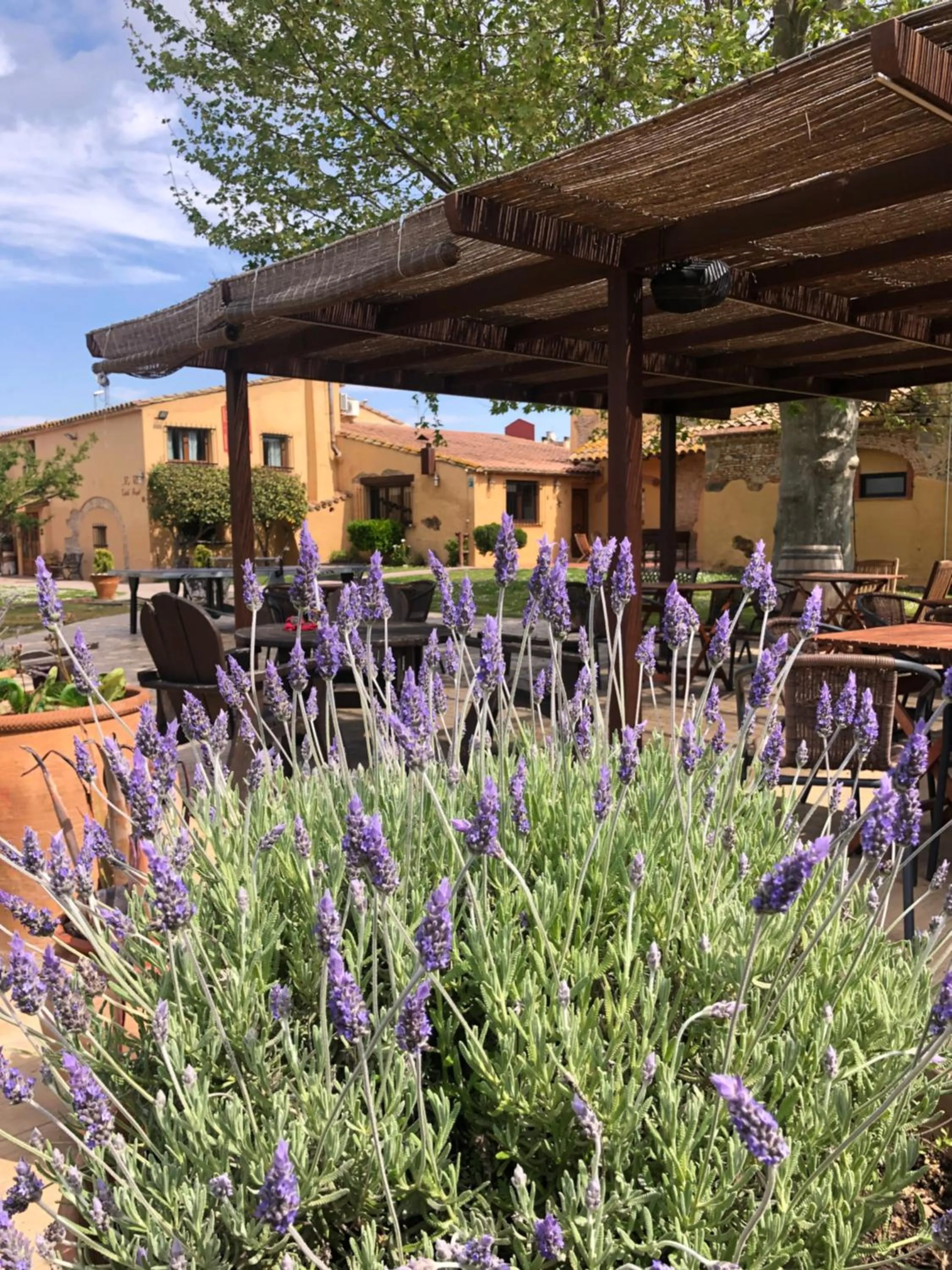 Garden in Hotel & Golf Ca La Caputxeta - Adults Only