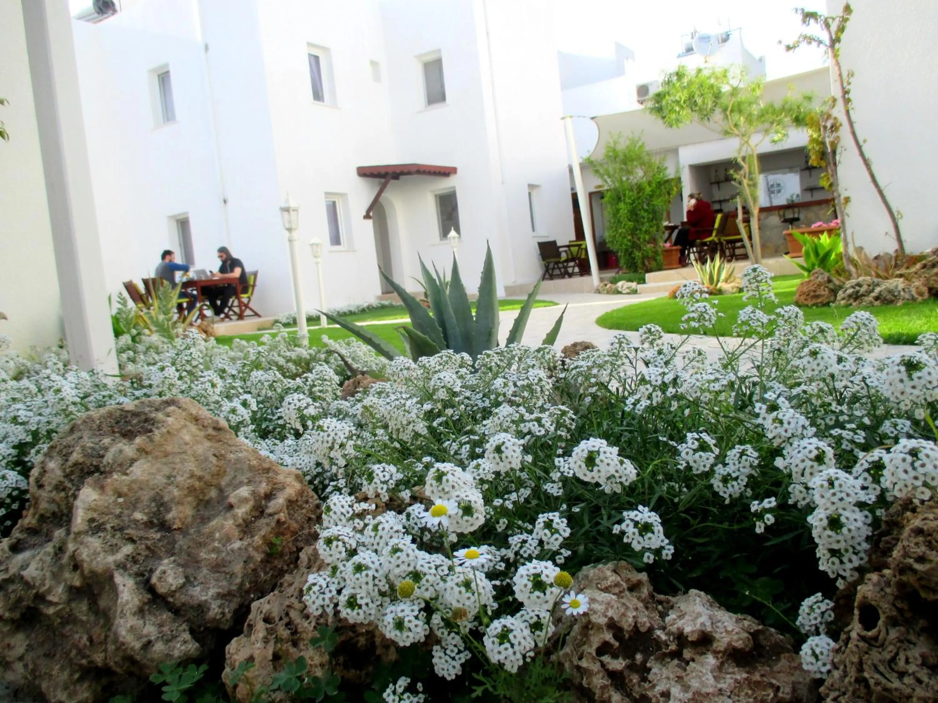 Garden in Canna Garden Hotel - Adult Only