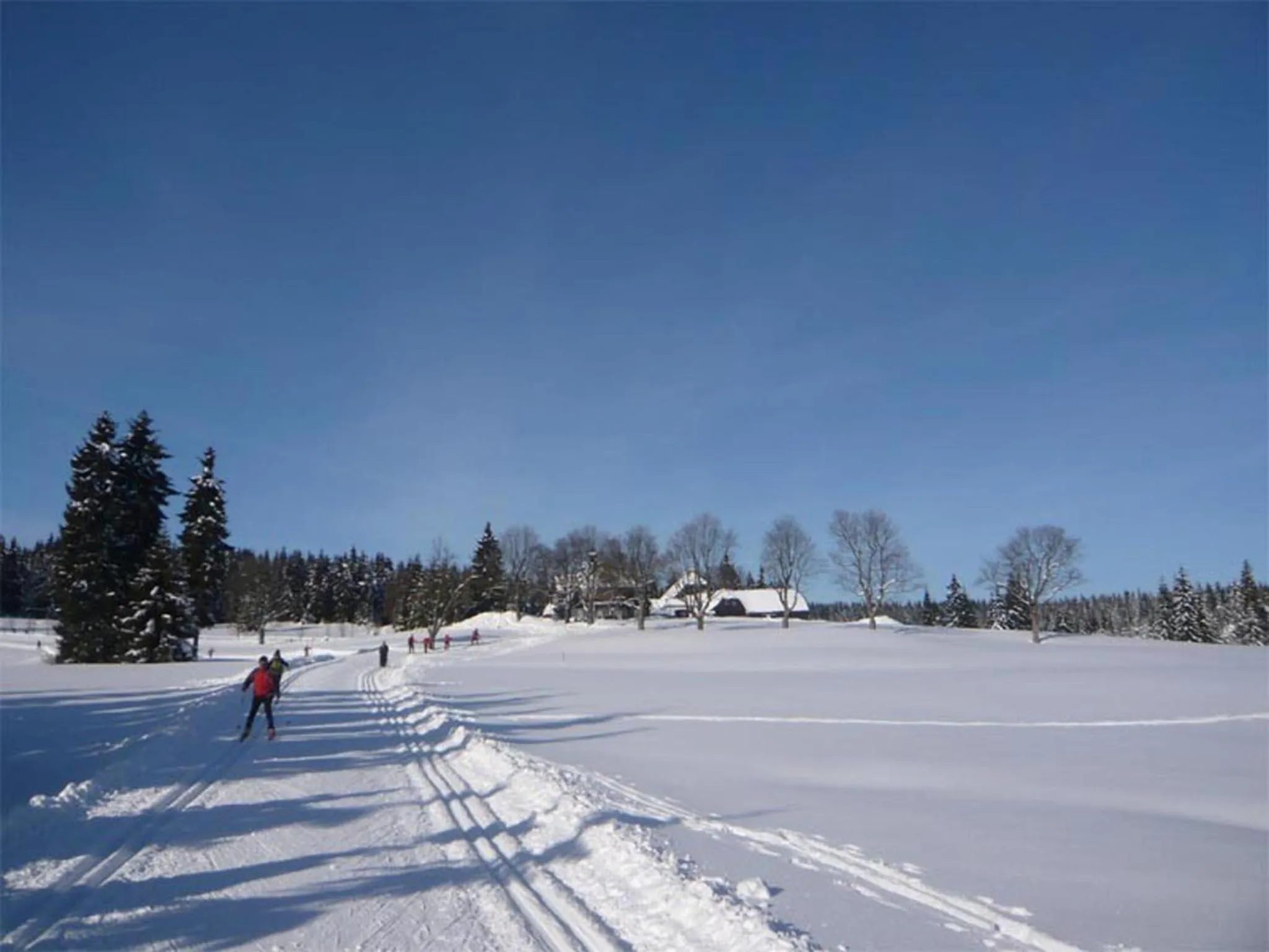 Neighbourhood in Hotel Perla Jizery