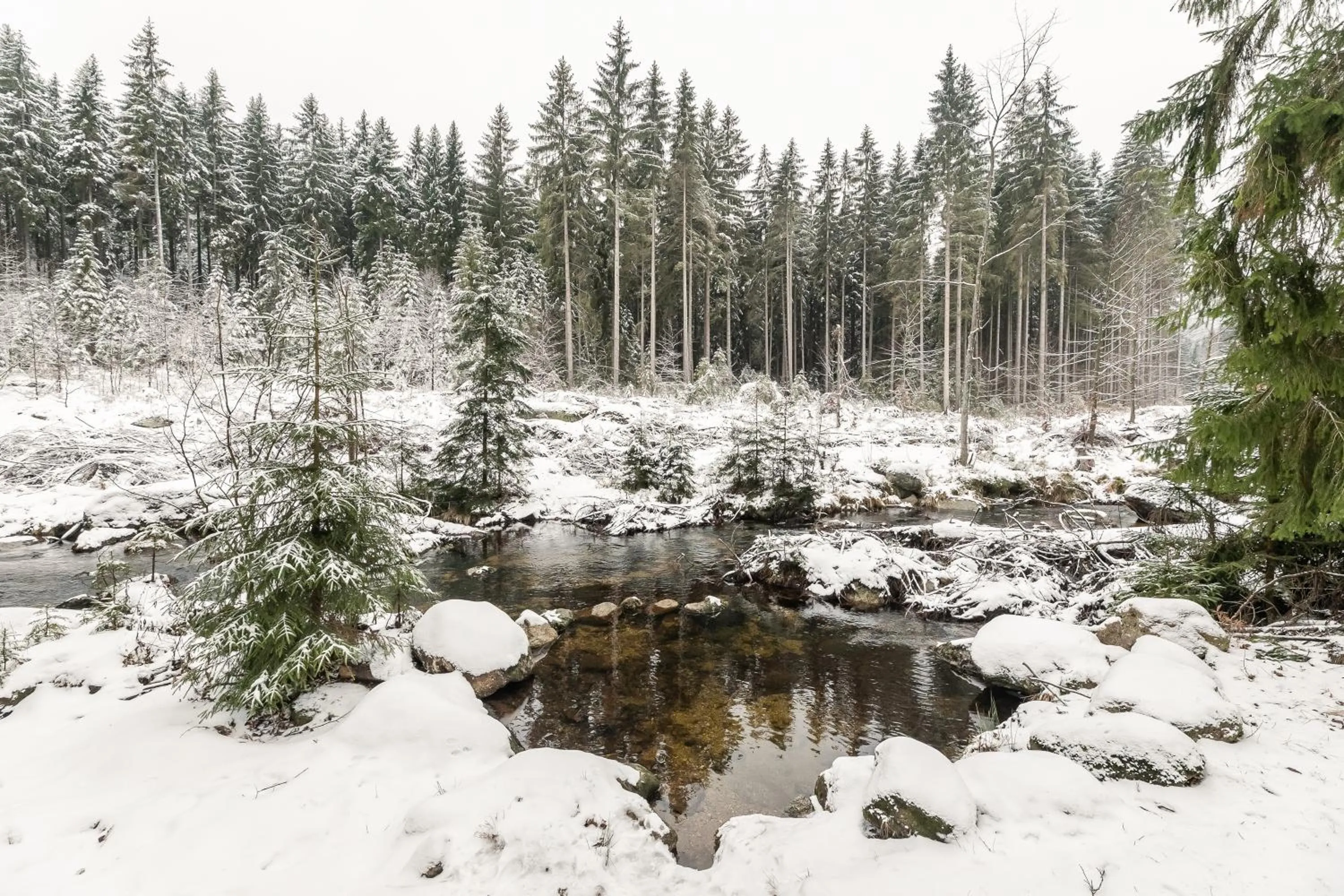 Natural landscape in Hotel Perla Jizery