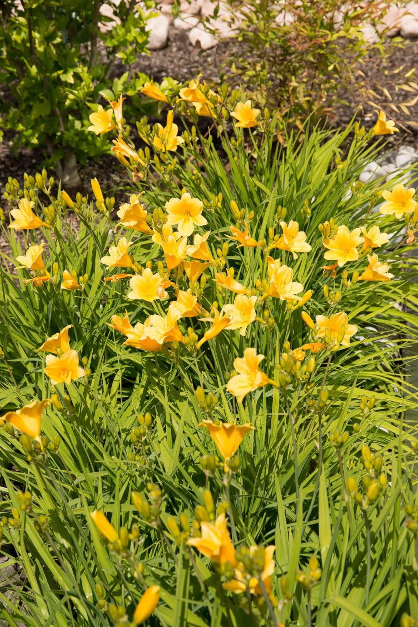 Spring in Lady Maria Hotel Wellness & Resort