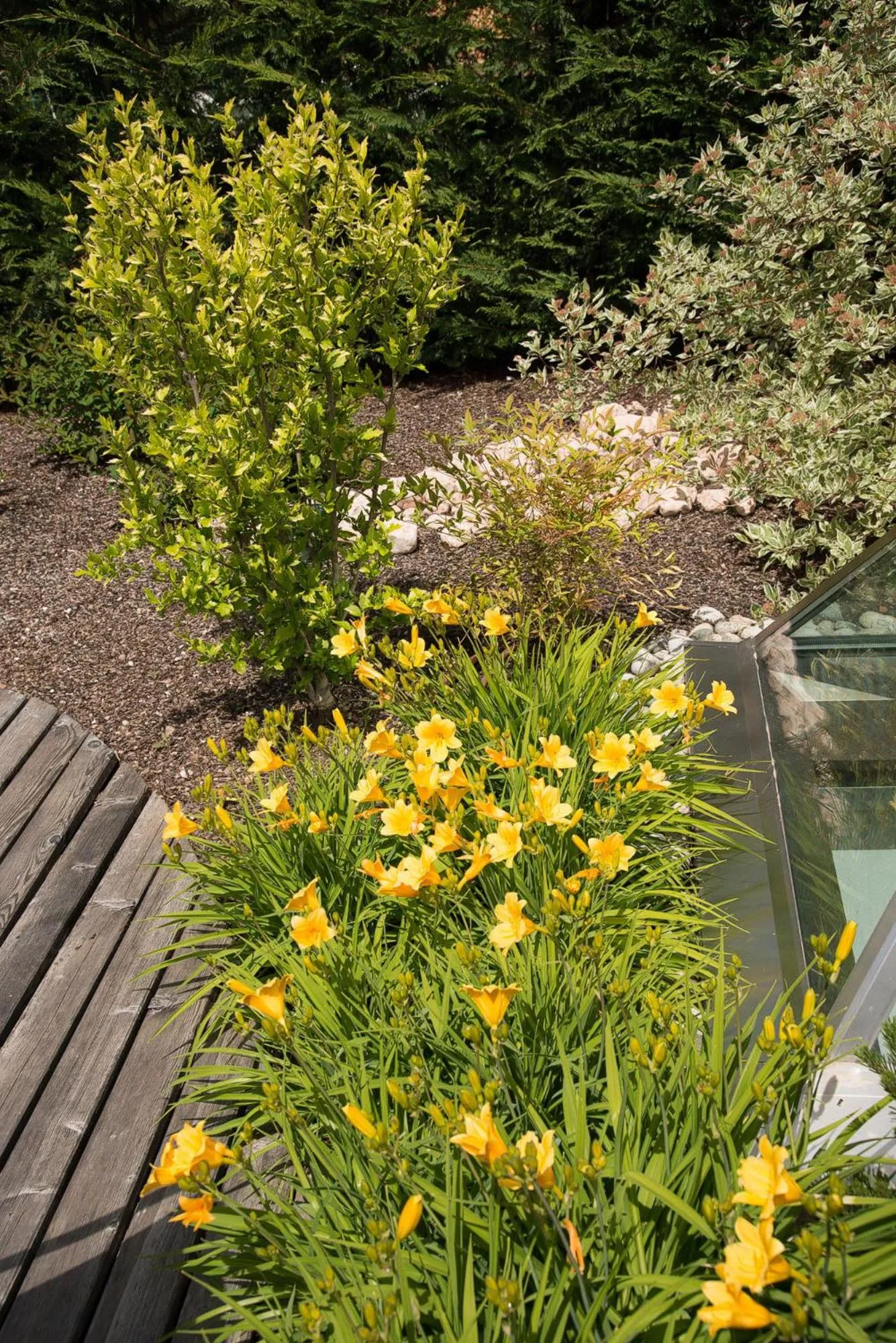 Spring in Lady Maria Hotel Wellness & Resort