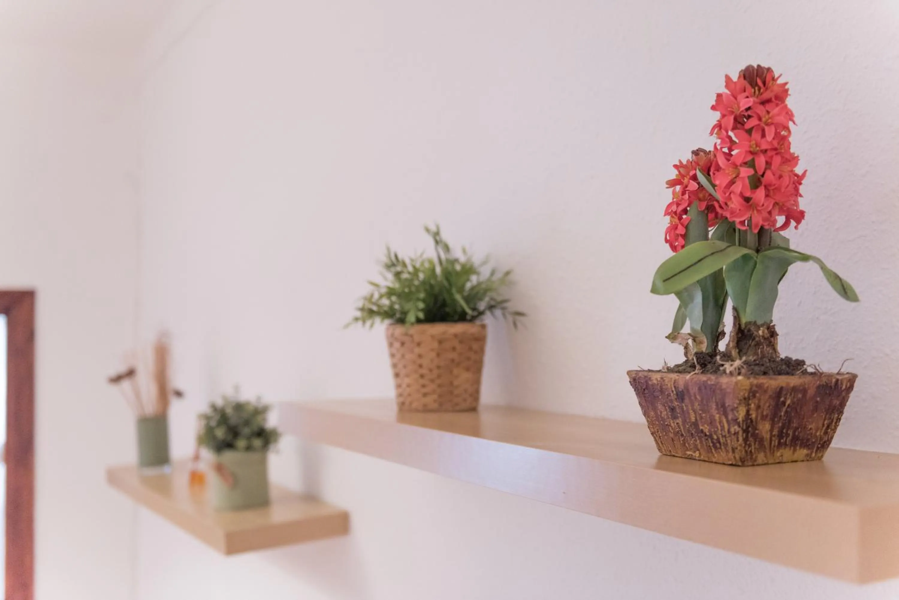 Decorative detail in Sweet BCN Studio with Terrace