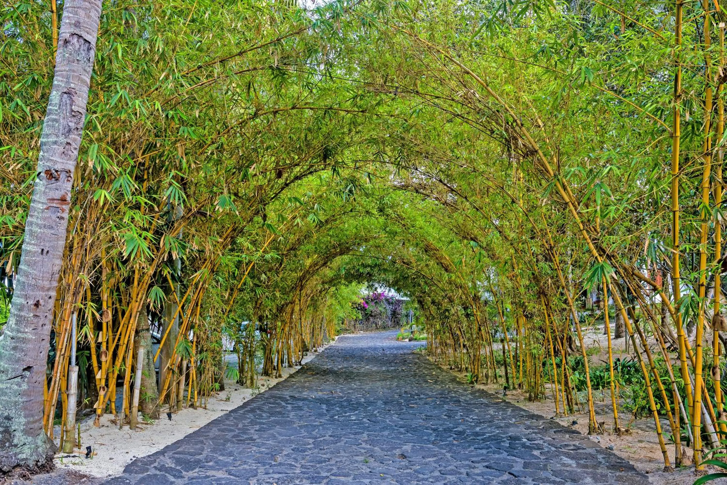 Facade/entrance in Seasense Boutique Hotel & Spa