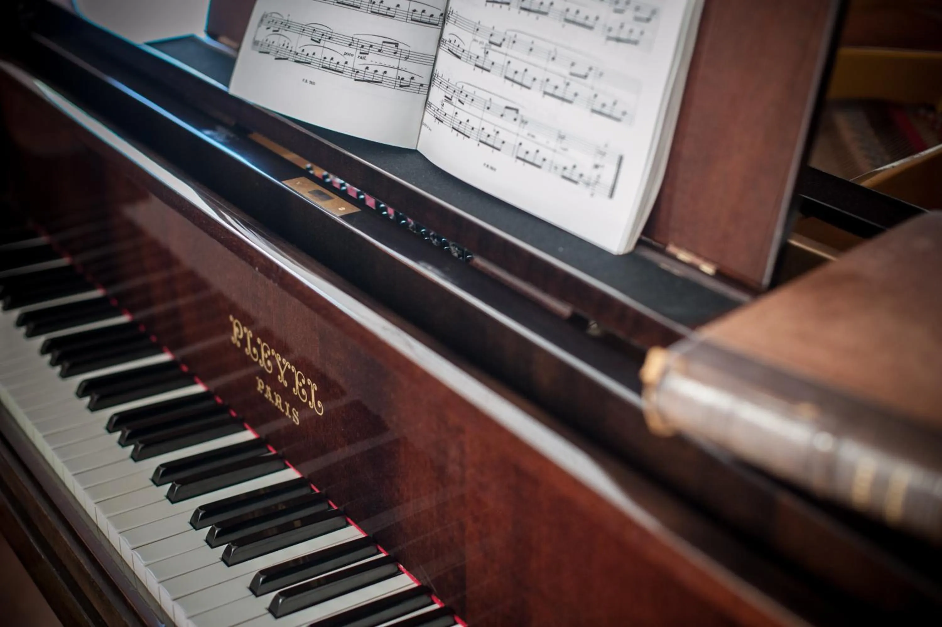 Decorative detail in Hôtel Beau Site Talloires B SPA