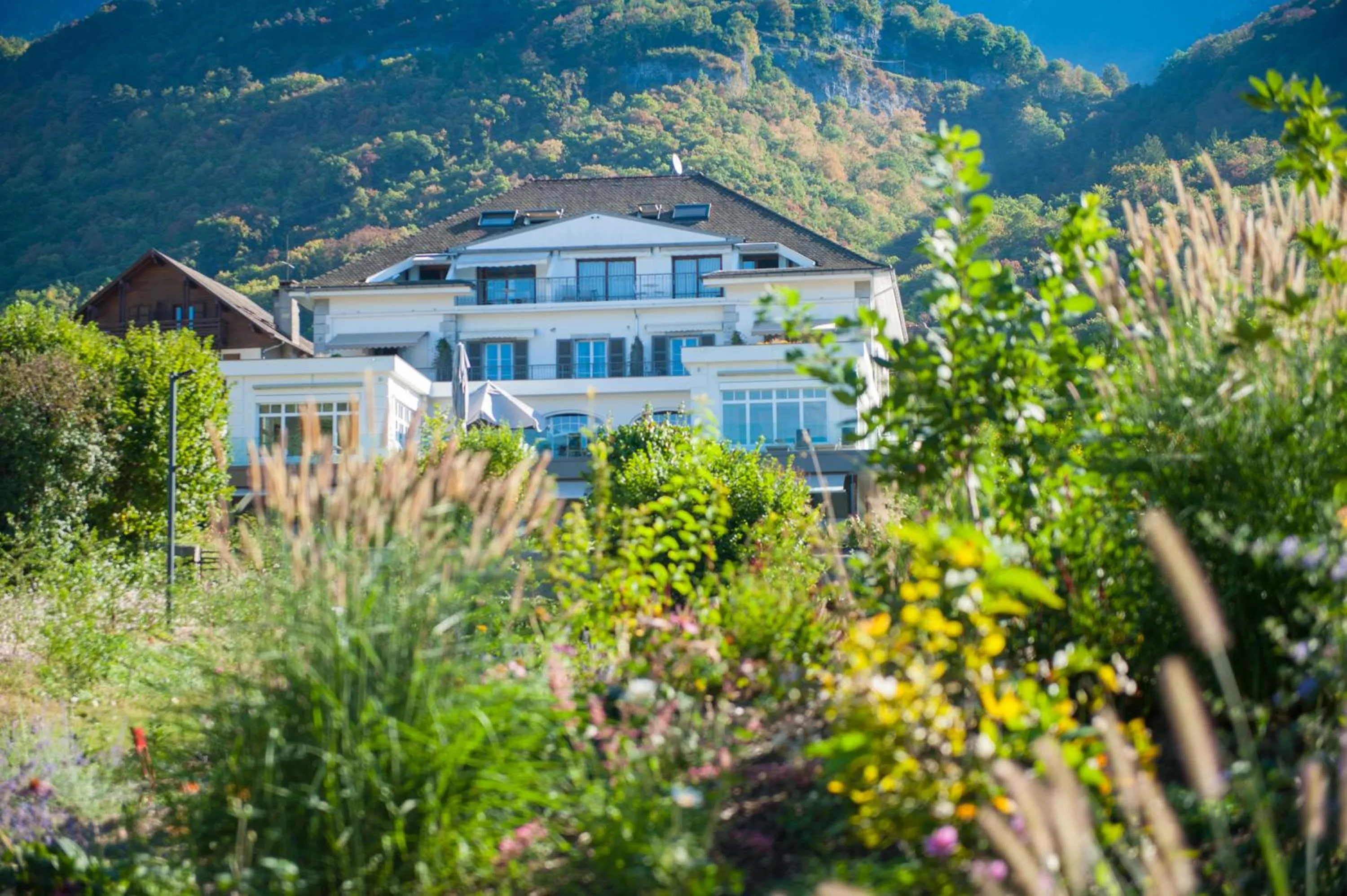 Garden view in Hôtel Beau Site Talloires B SPA