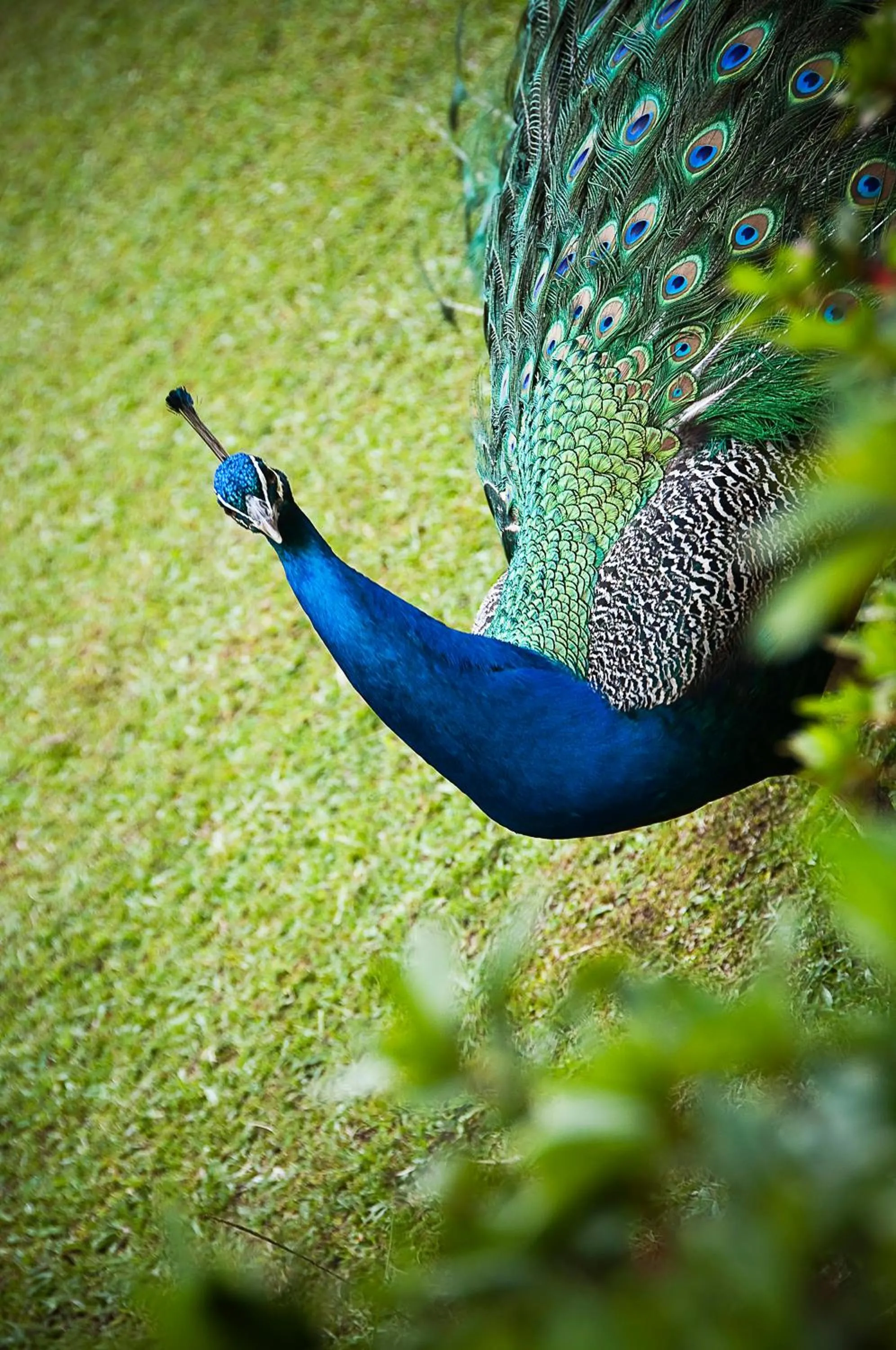 Other in Movich Hotel Las Lomas