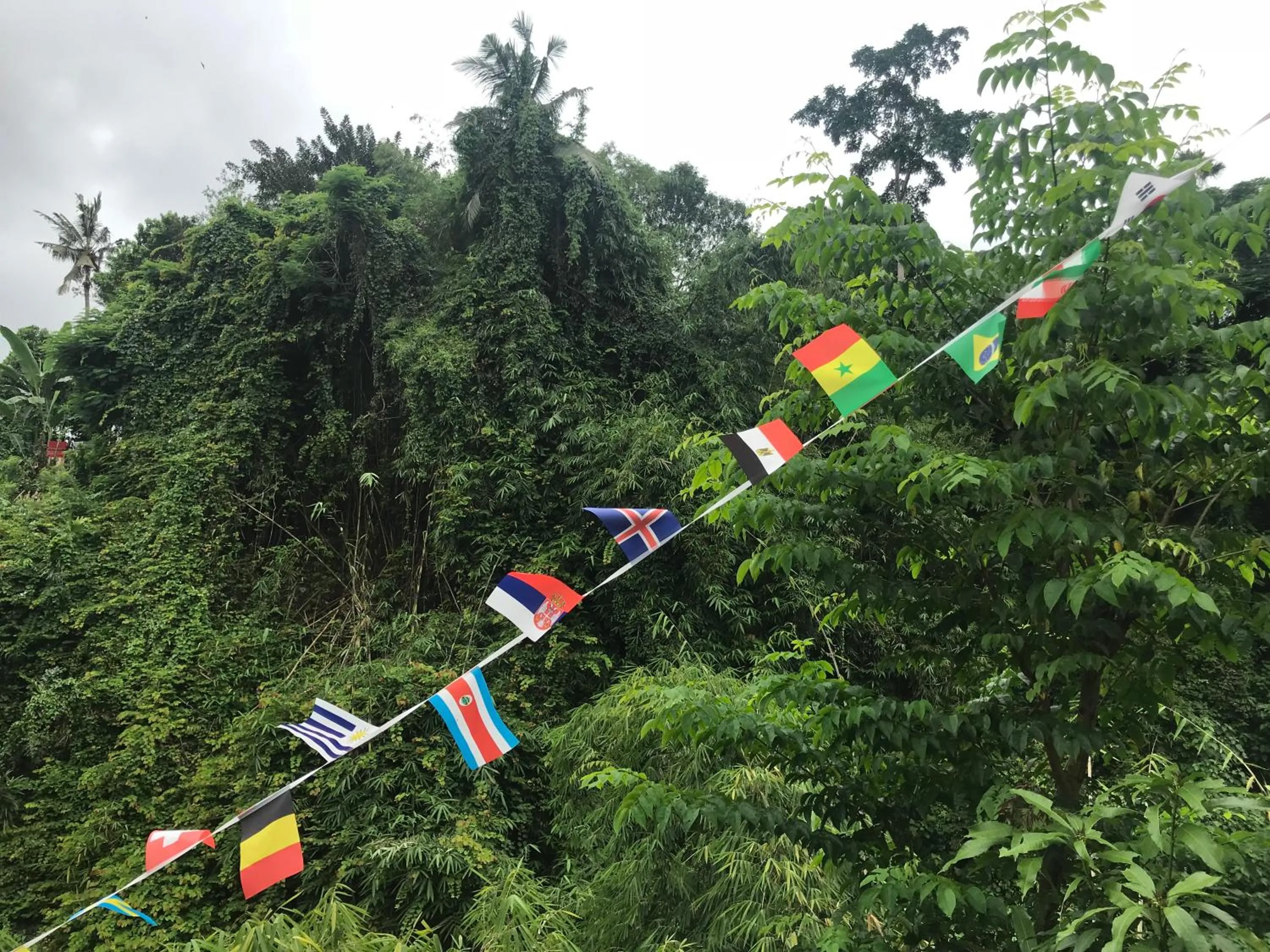 River view in WW Backpackers