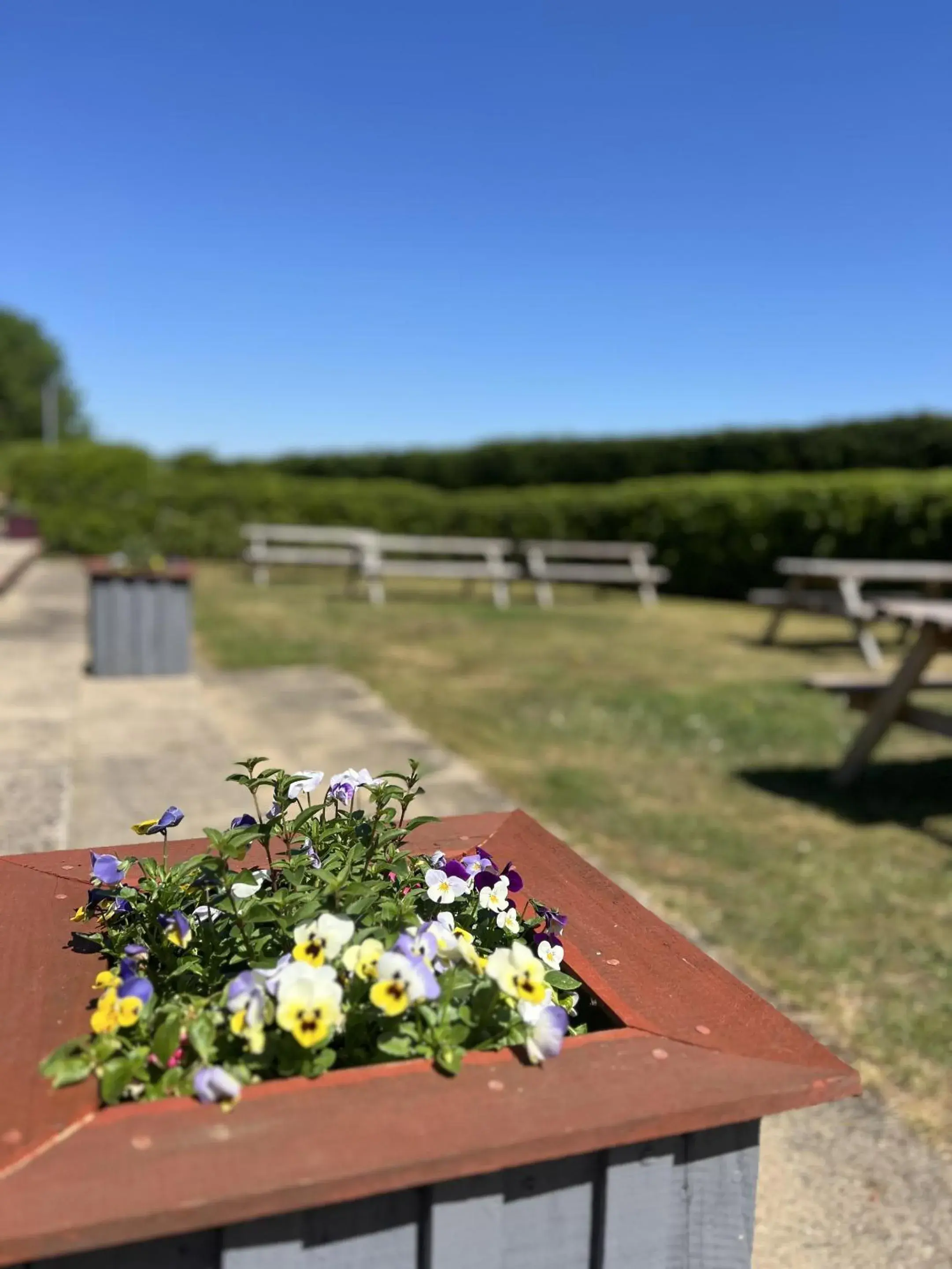 Property building in The Parson Woodforde Property building in The Parson Woodforde