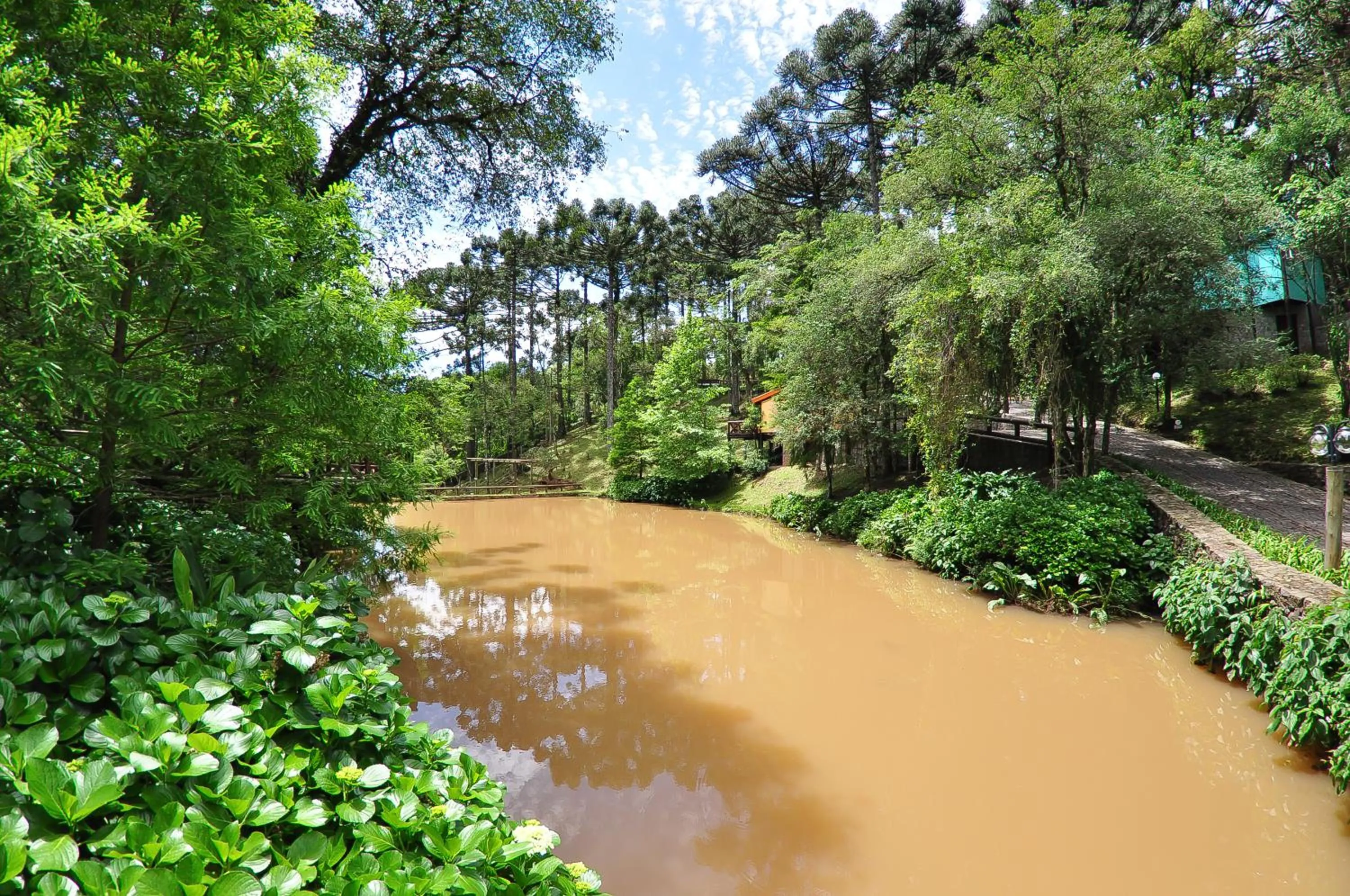 Garden in Villa Flor Ecoresort