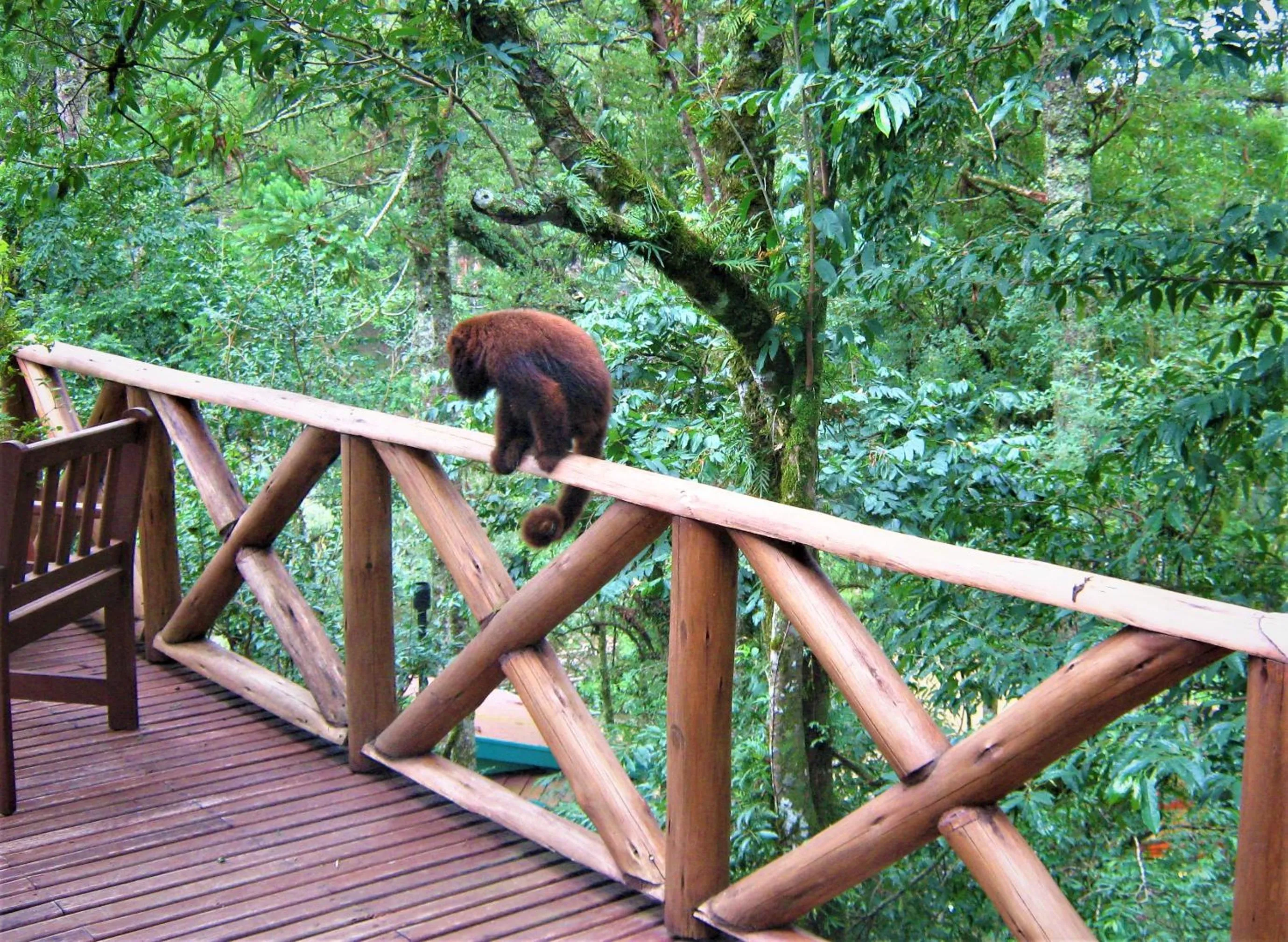 Villa Flor Ecoresort