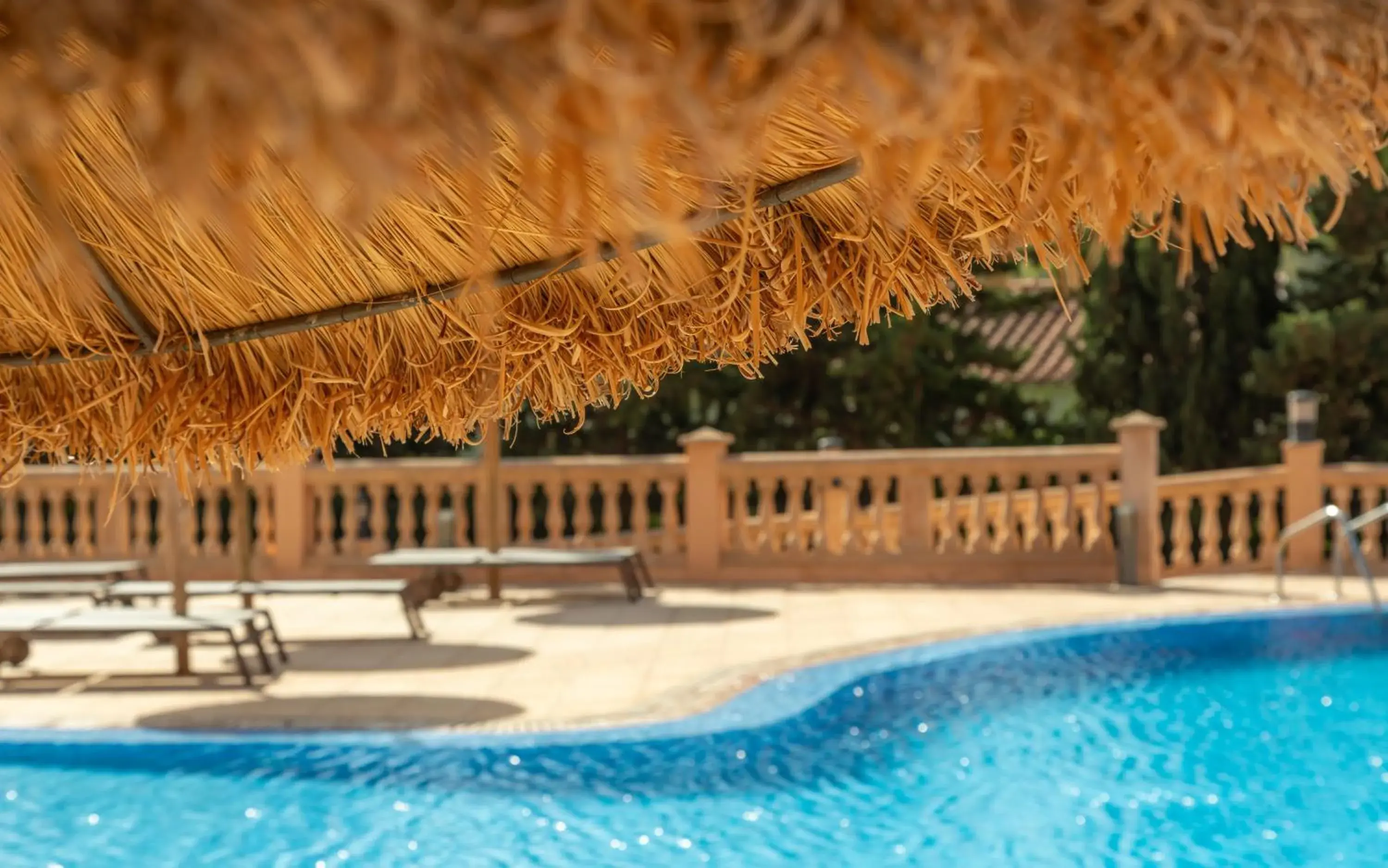 Swimming pool in Bordoy Don Antonio Swimming pool in Bordoy Don Antonio