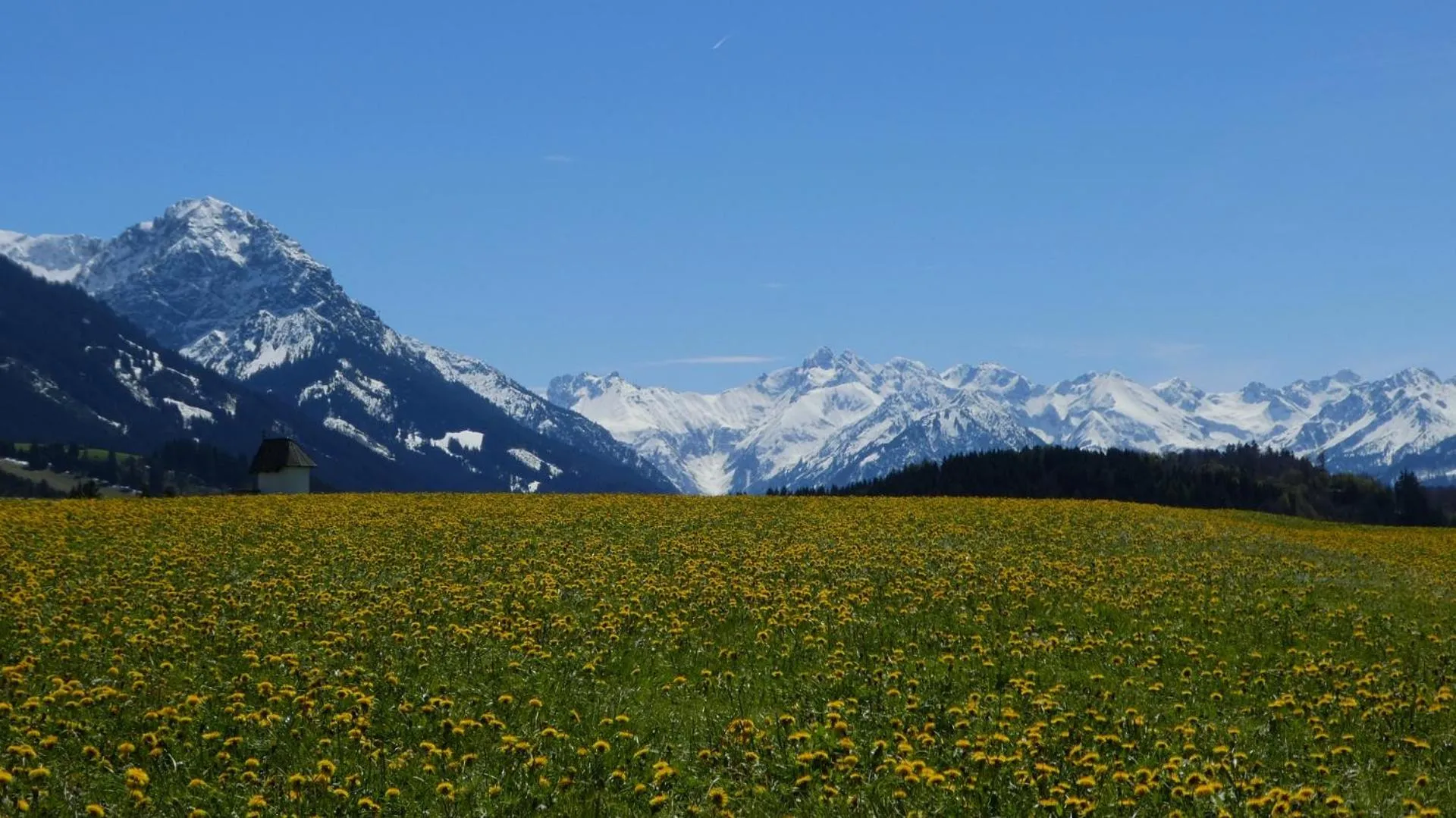Spring in Landhaus Ruppaner