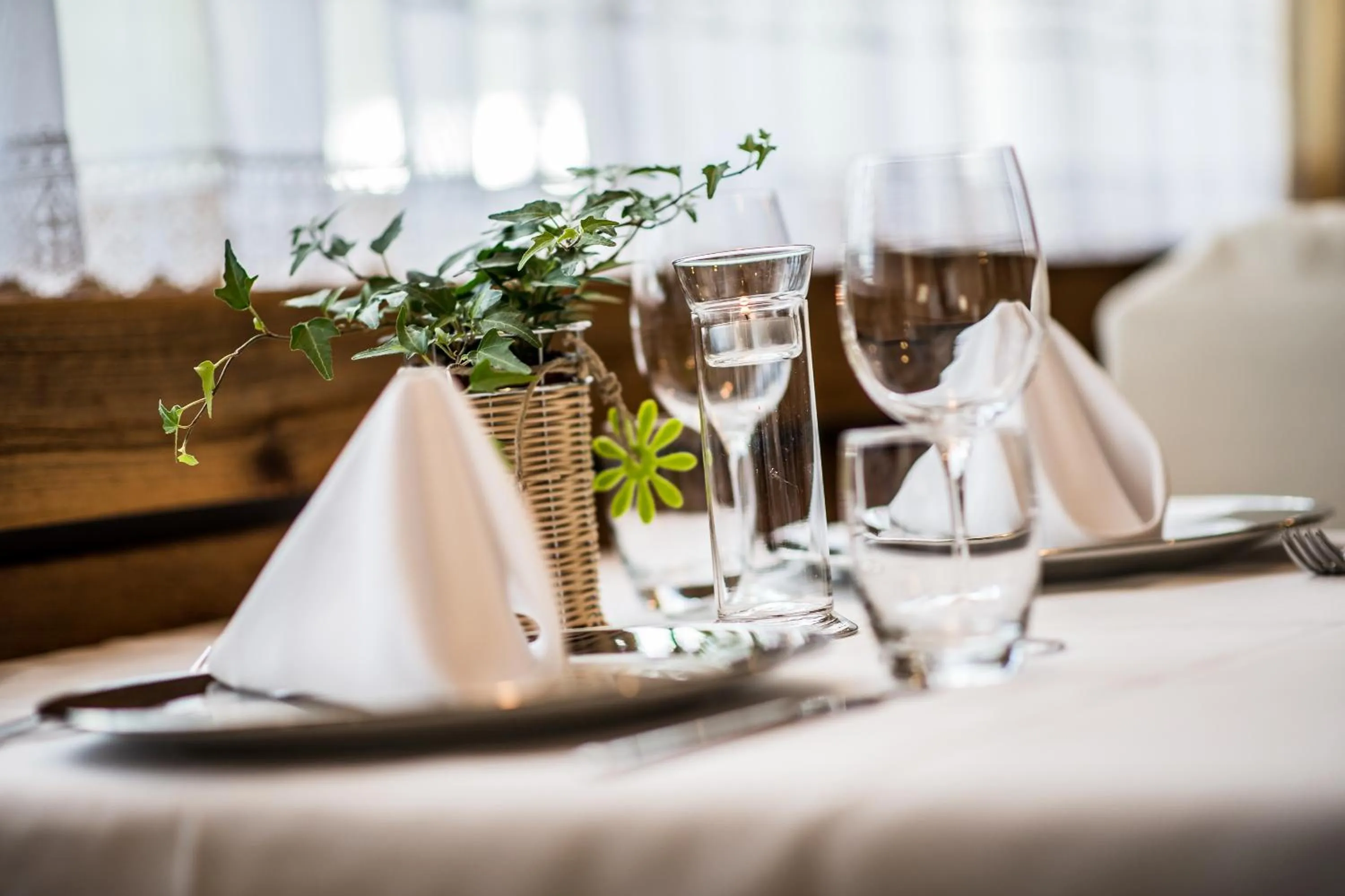 Area and facilities in Hotel Gran Ciasa