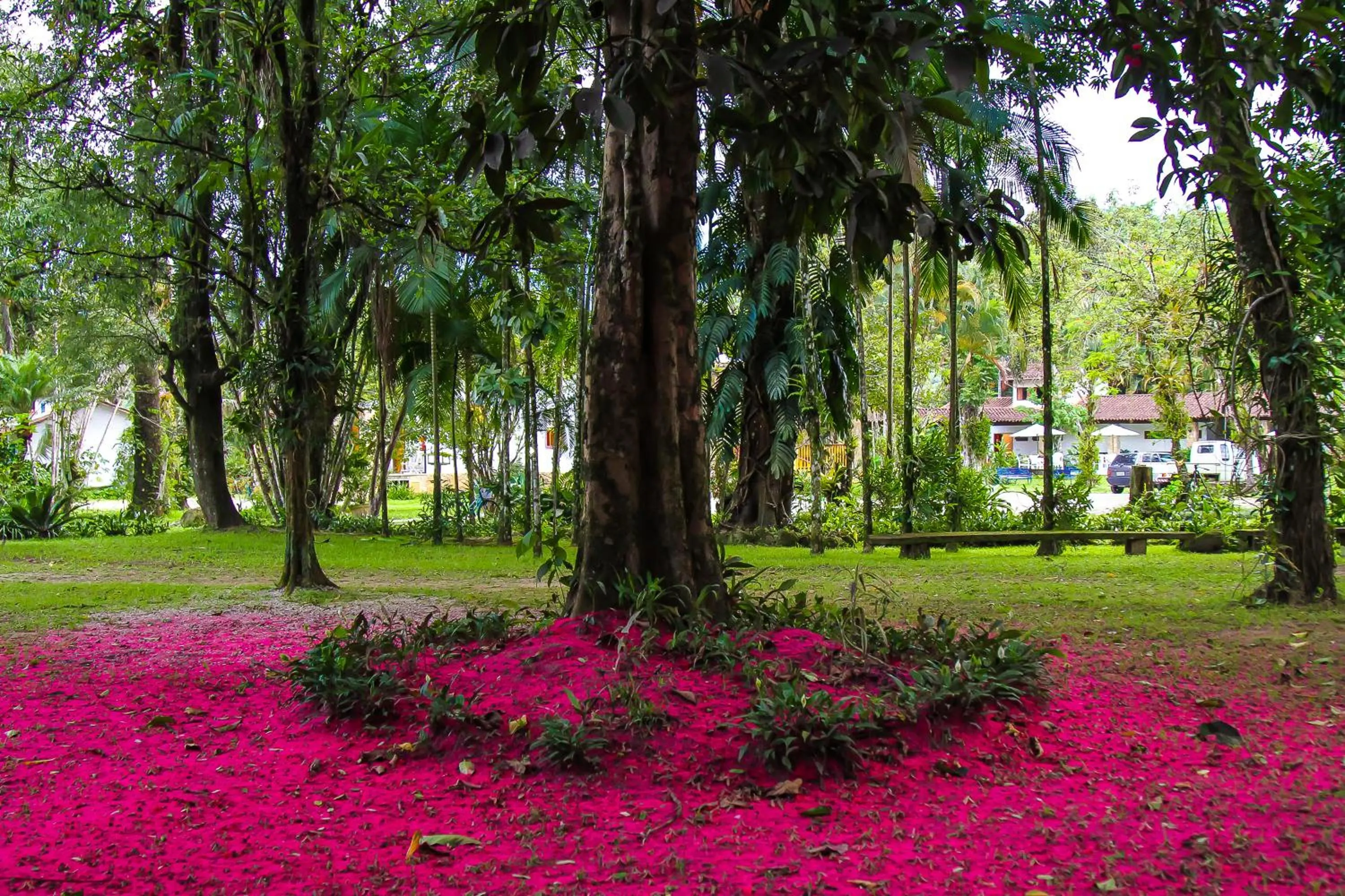 Garden in Pousada Chácara Das Acácias