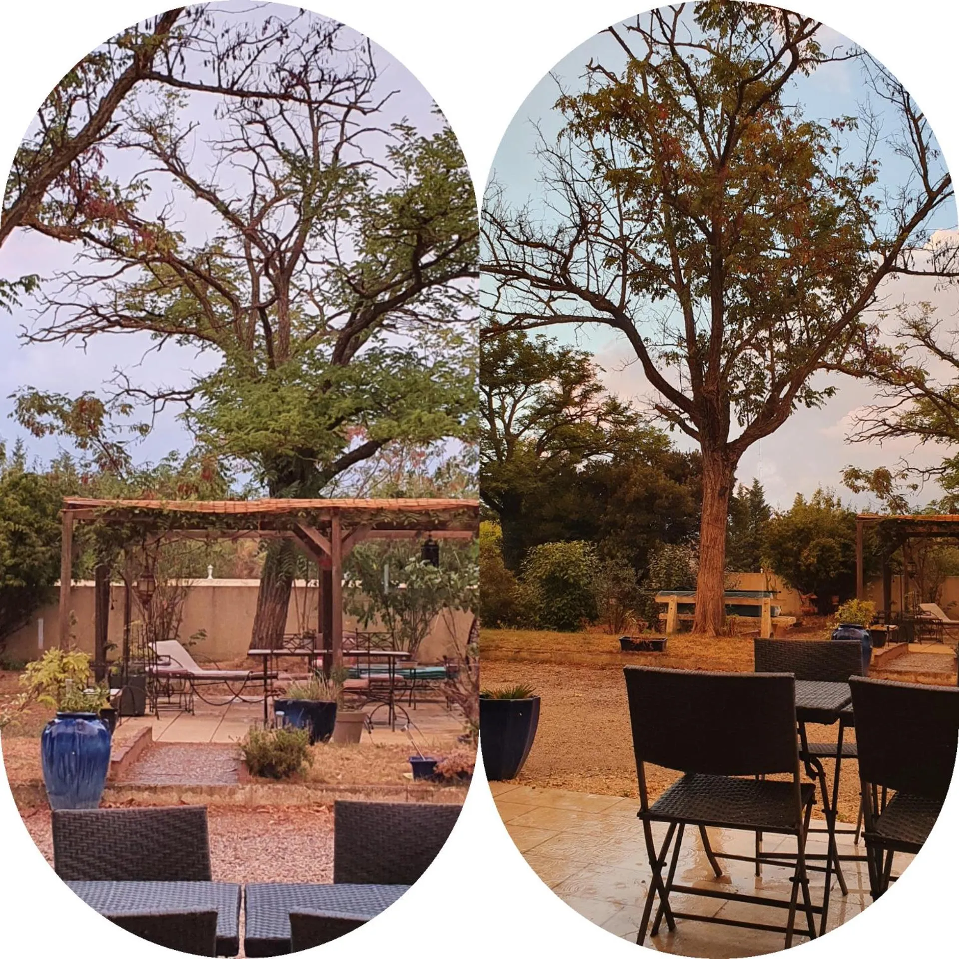 Patio in Hotel Carina