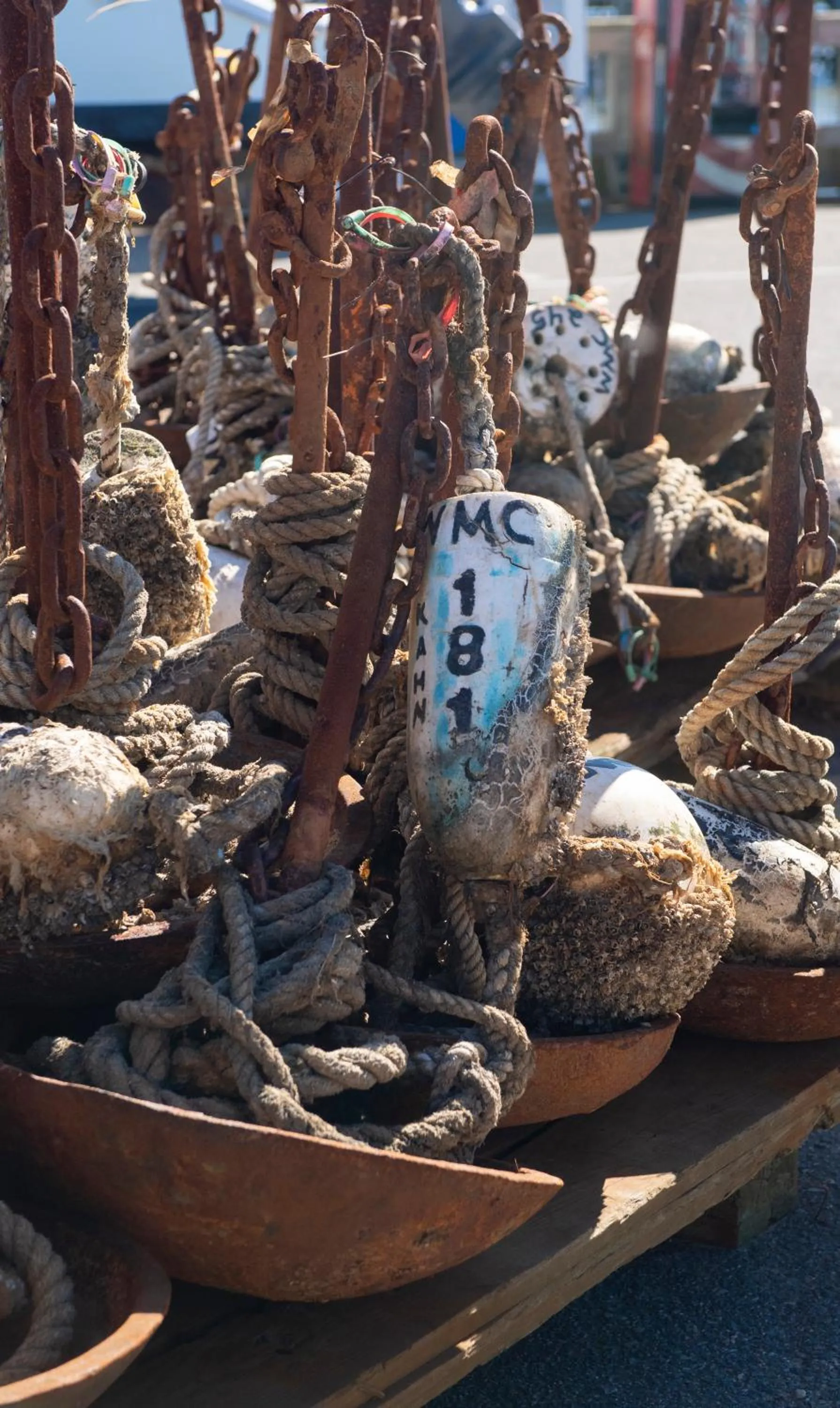 Neighbourhood in Endless Coast, A Boutique Hotel