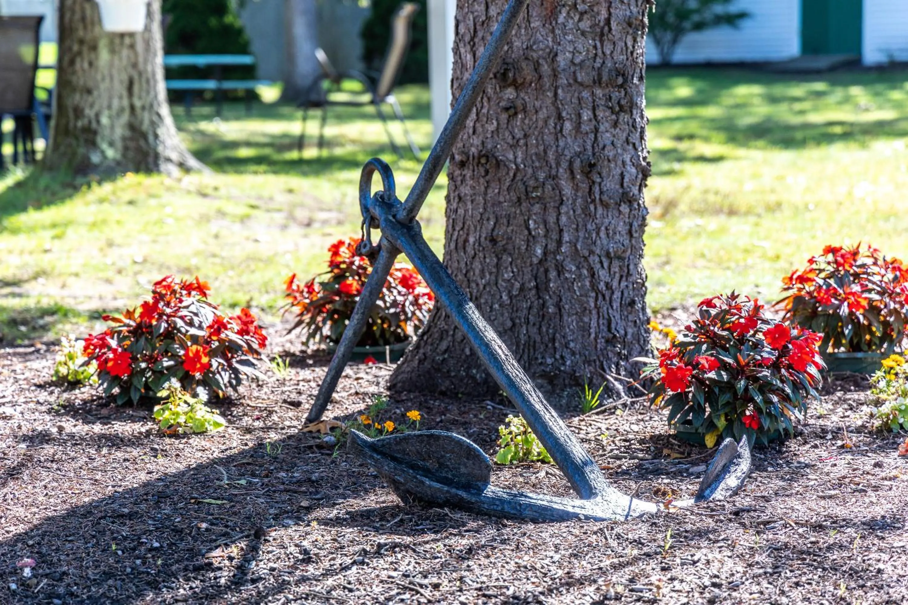 Garden in Falmouth Heights Motor Lodge
