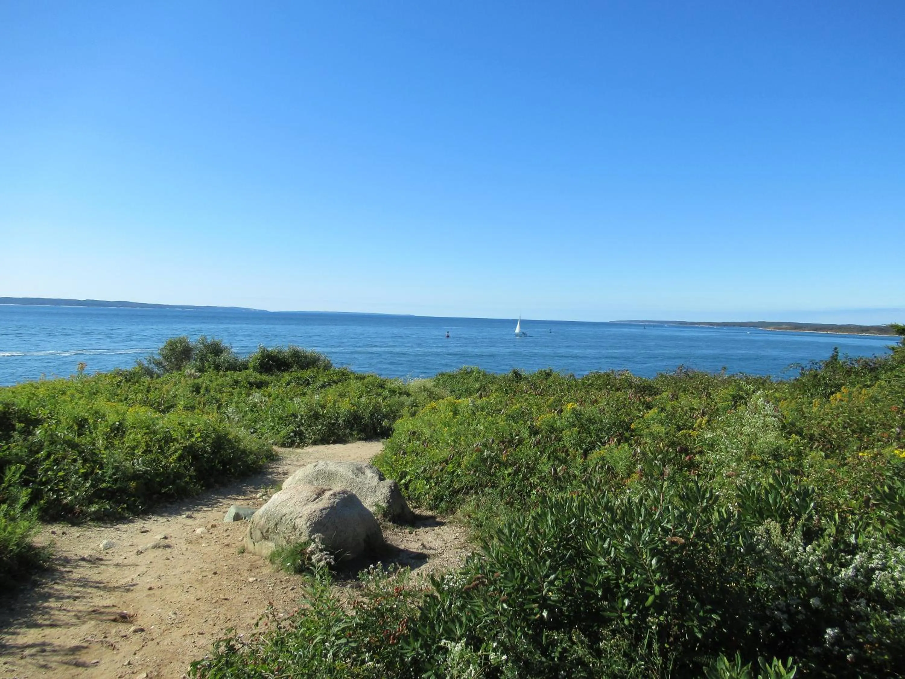 Natural landscape in Falmouth Heights Motor Lodge