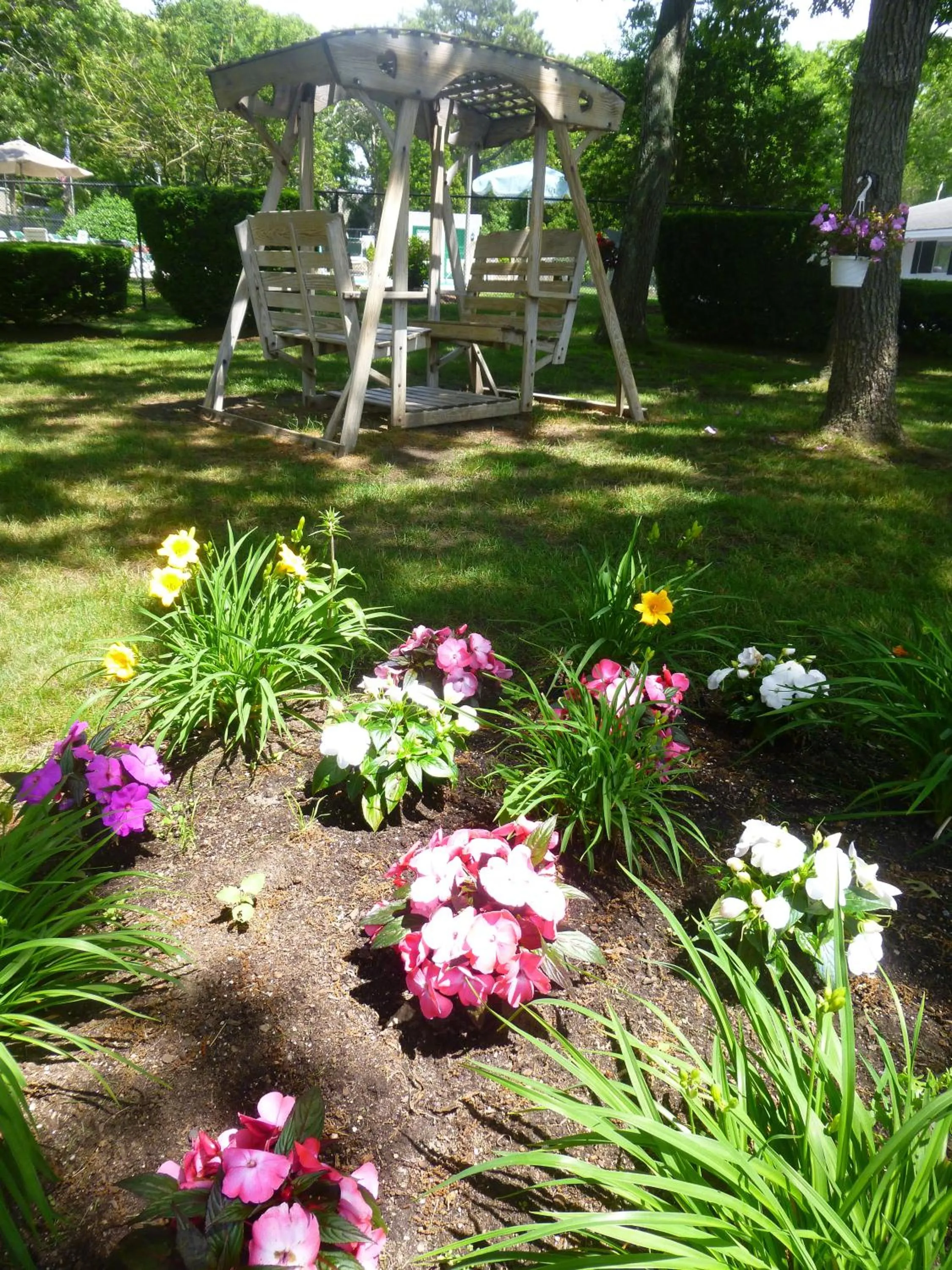 Day in Falmouth Heights Motor Lodge