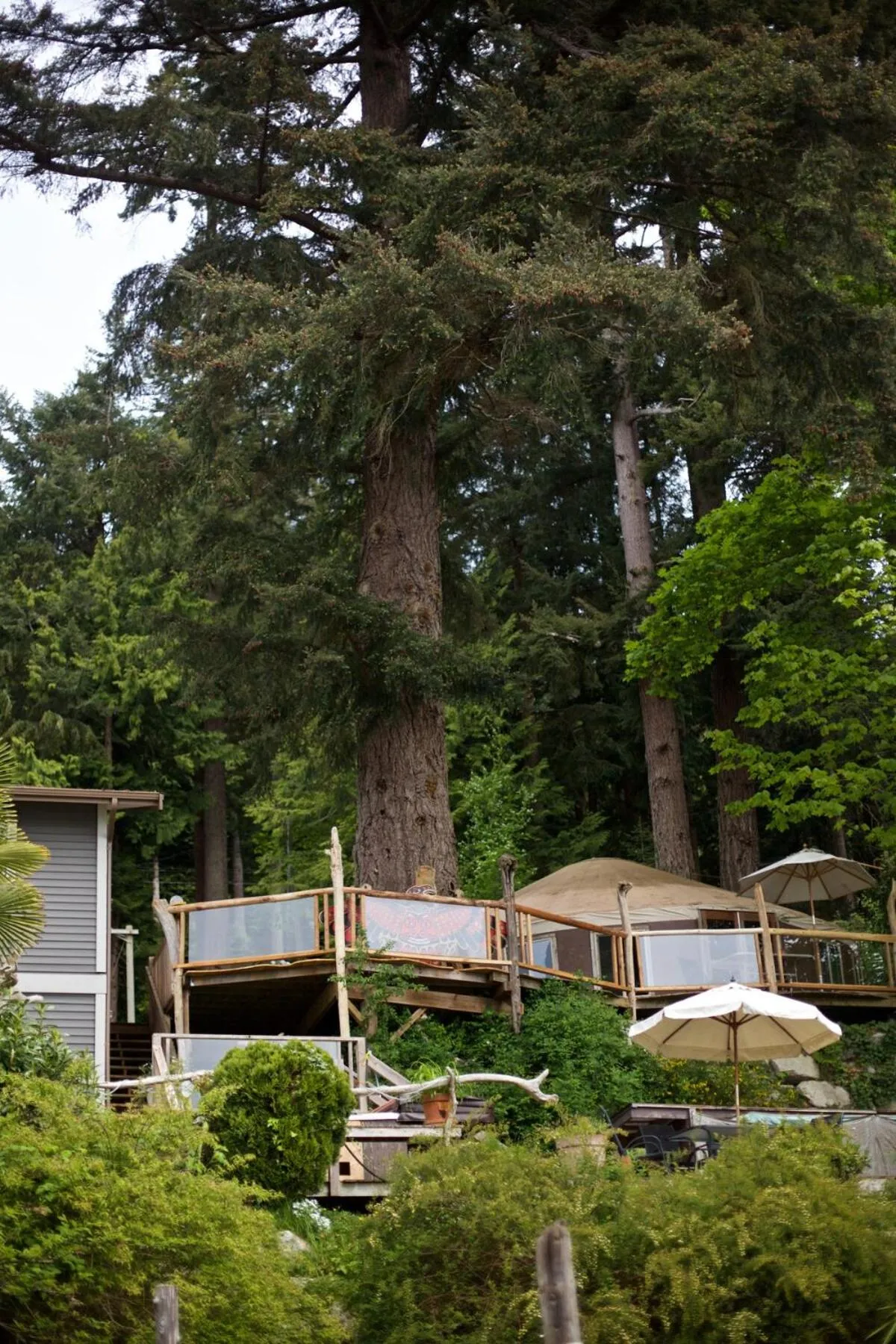 Halfmoon Haven Beach Cottage or Oceanview Suite