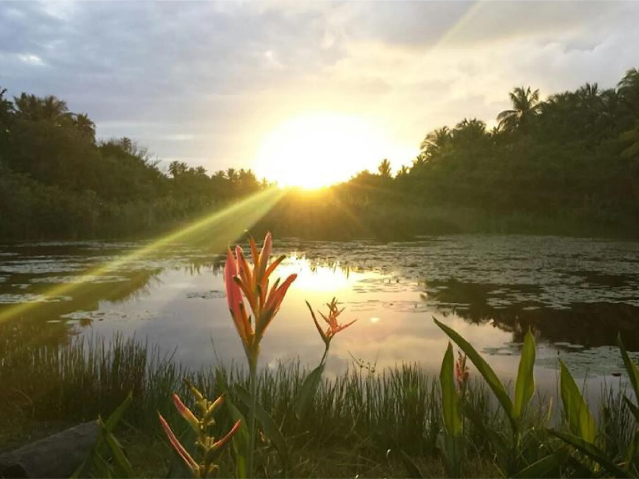 Garden in Pousada Mar de Estrelas