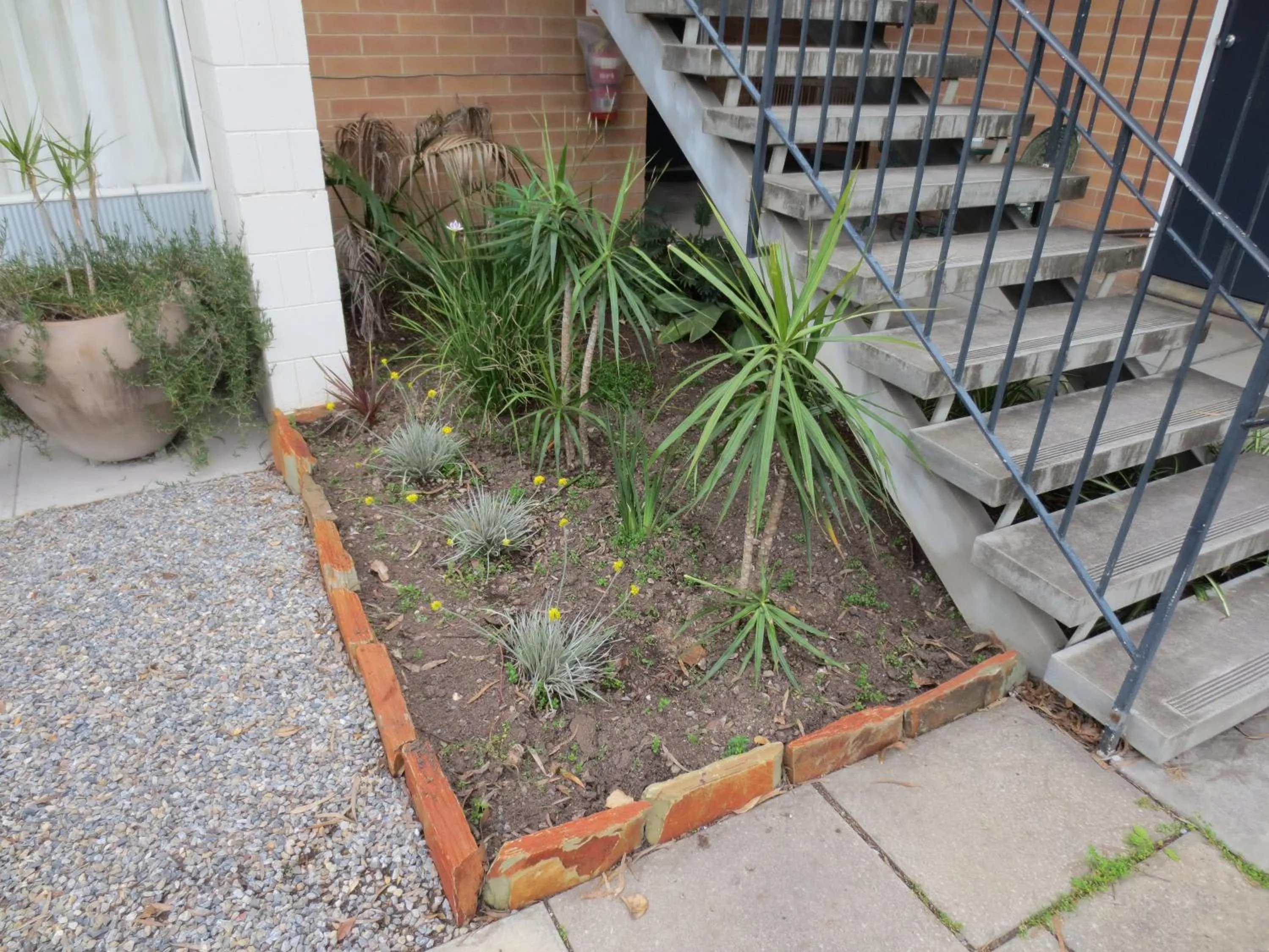 Garden in Norfolk Motor Inn