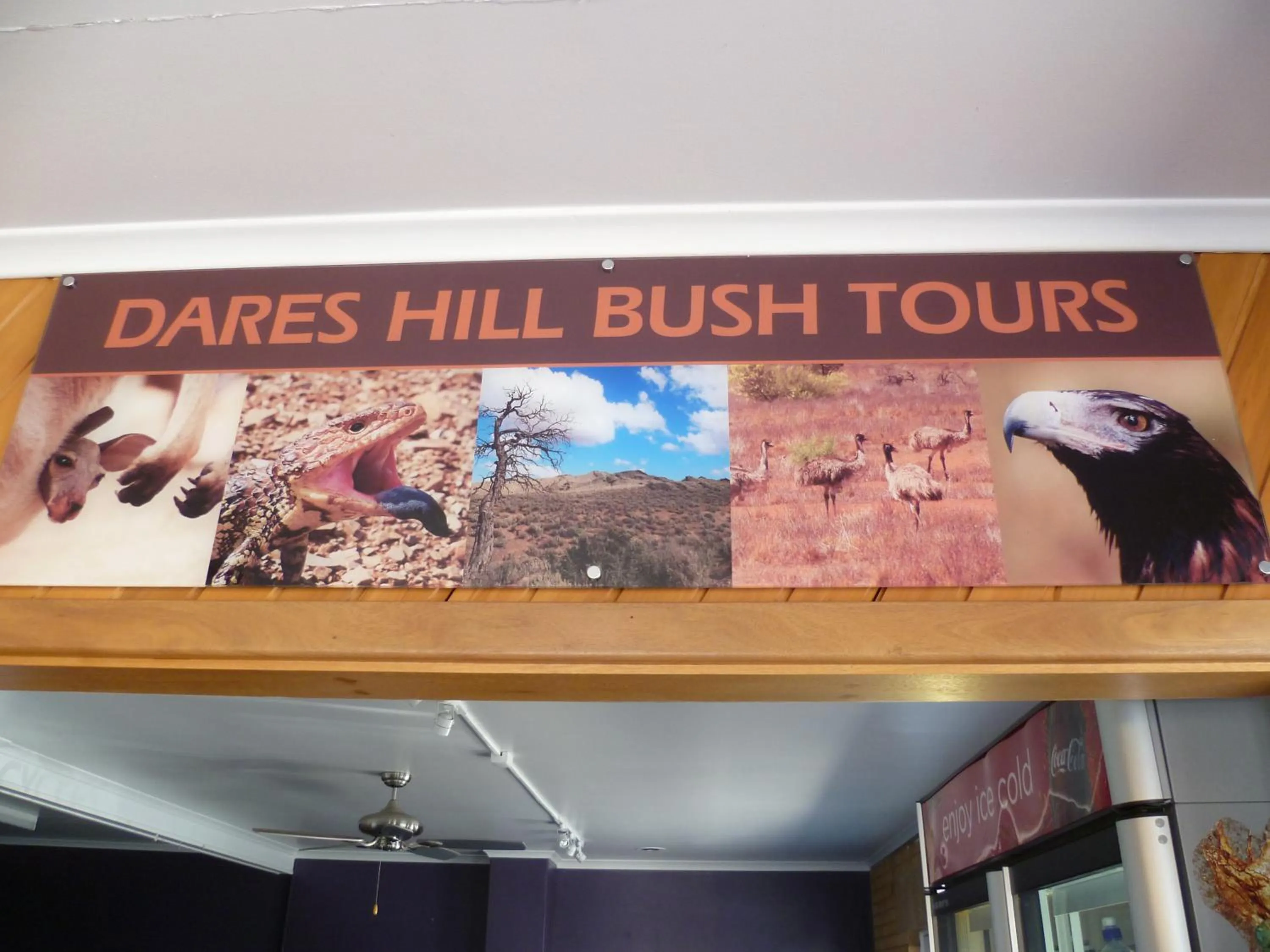 Activities in Norfolk Motor Inn