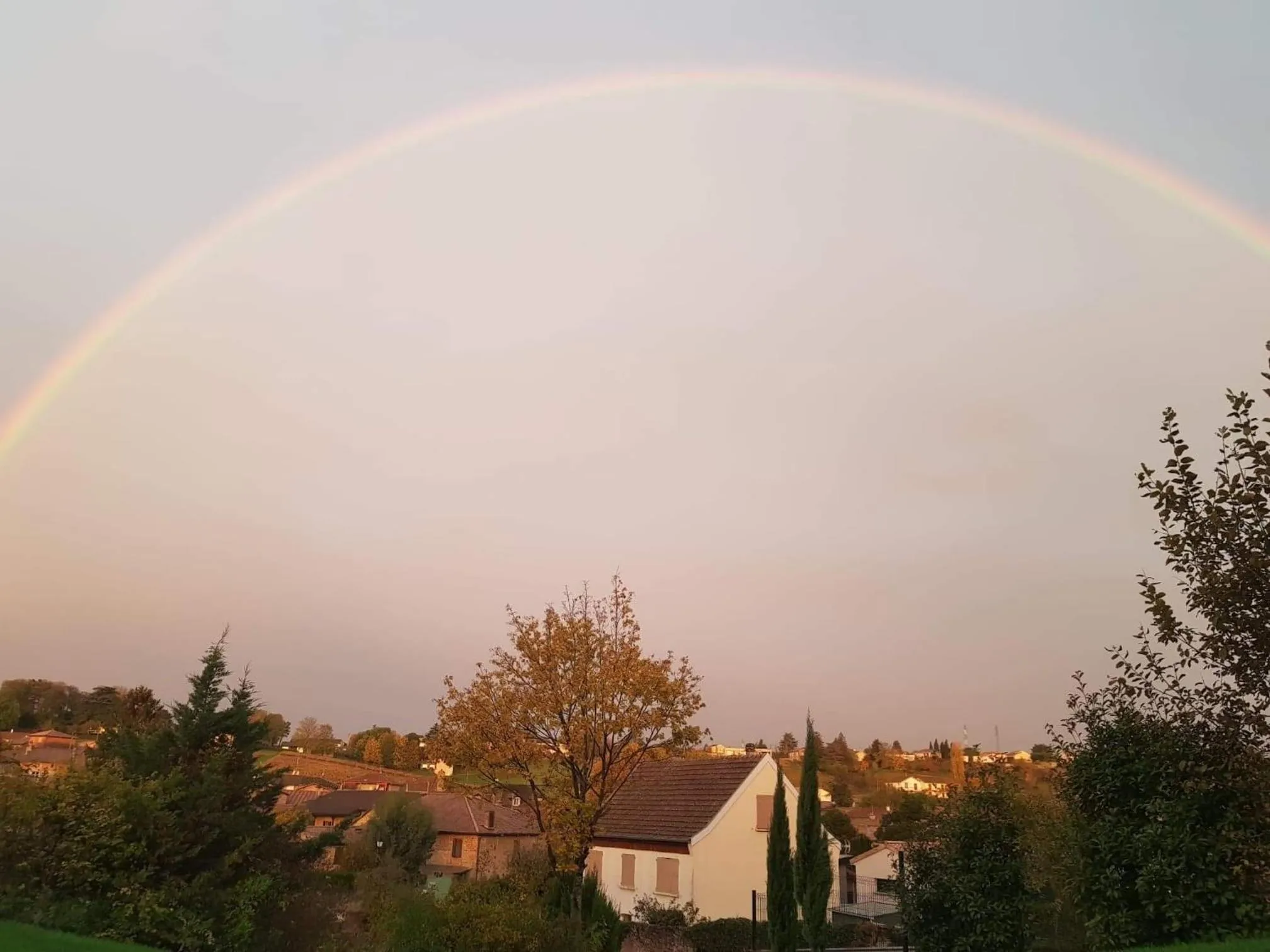les CRAYS de LÉVIGNY
