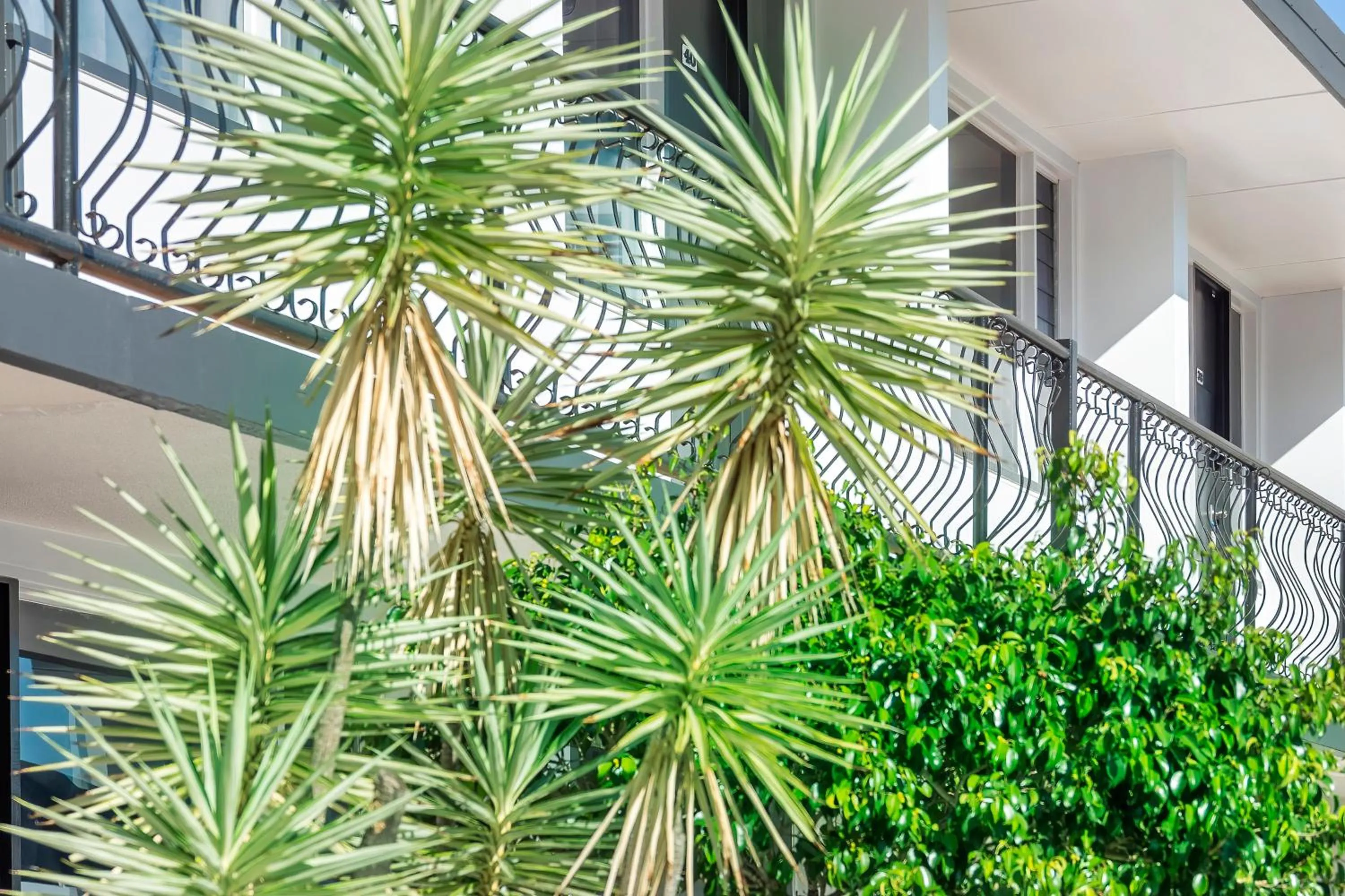 Garden in The Robert Towns