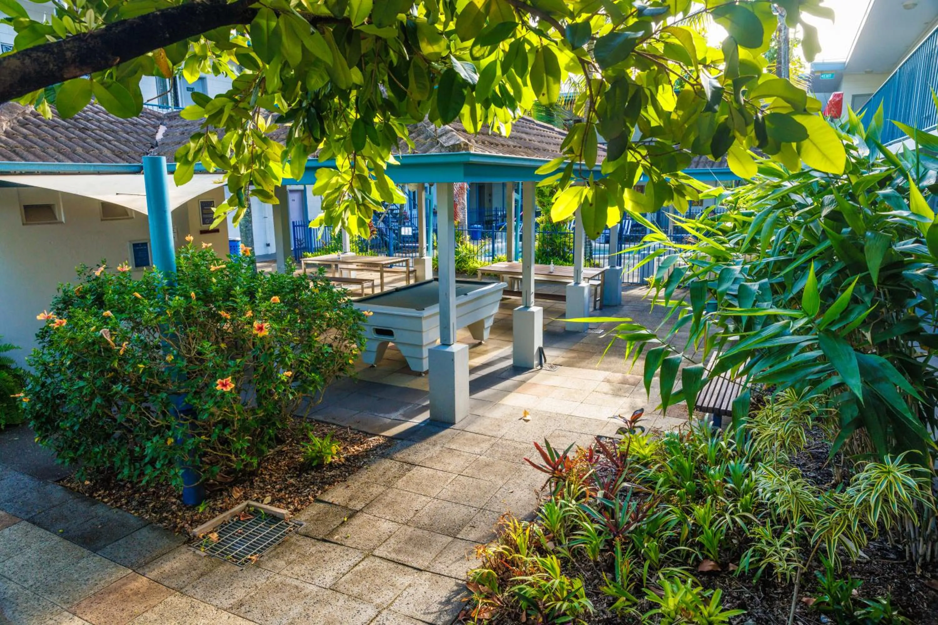Garden in YHA Cairns Central