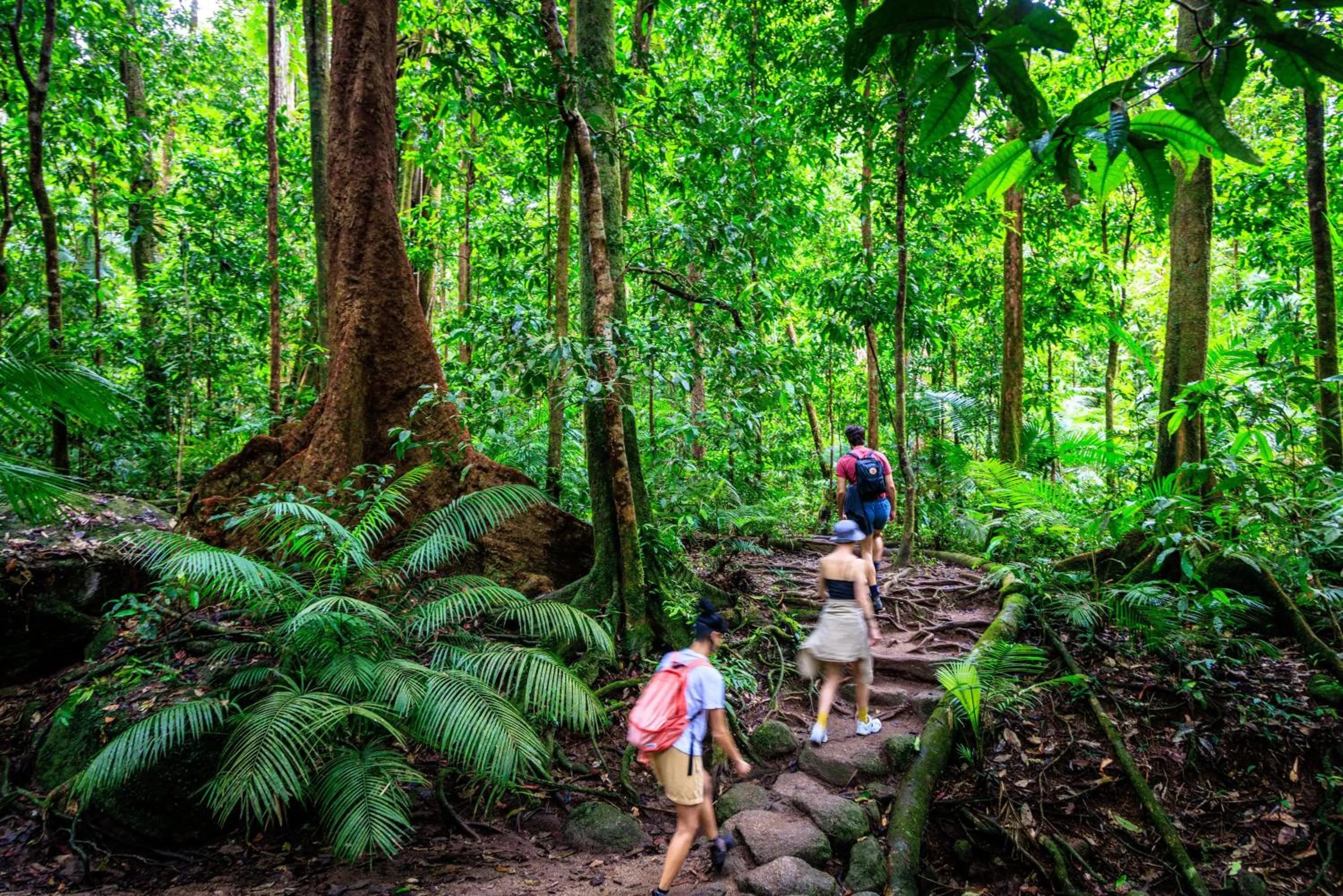 Other in YHA Cairns Central
