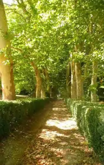 Other in Eco Logis de Chantegrolle