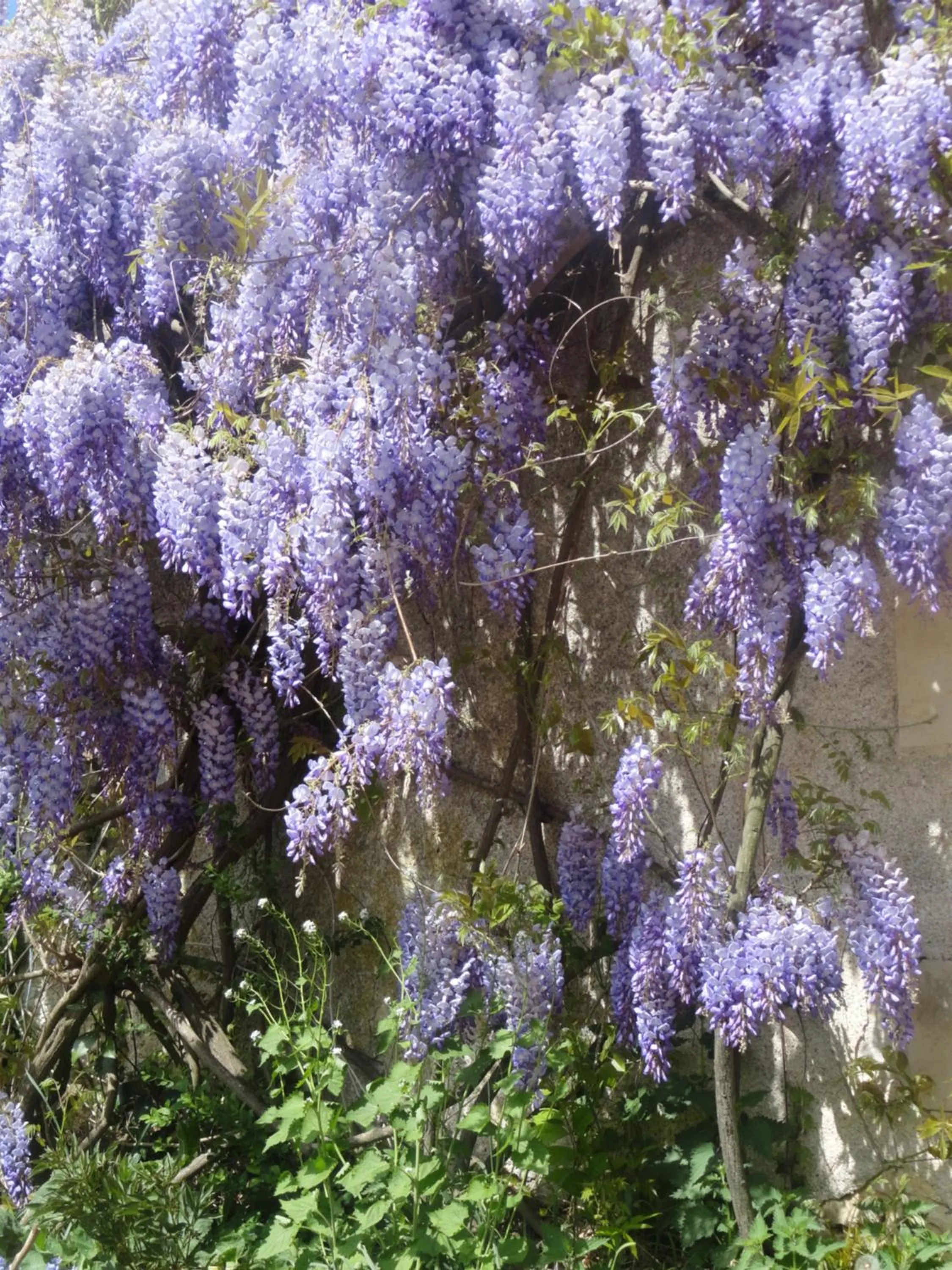 Other in Eco Logis de Chantegrolle