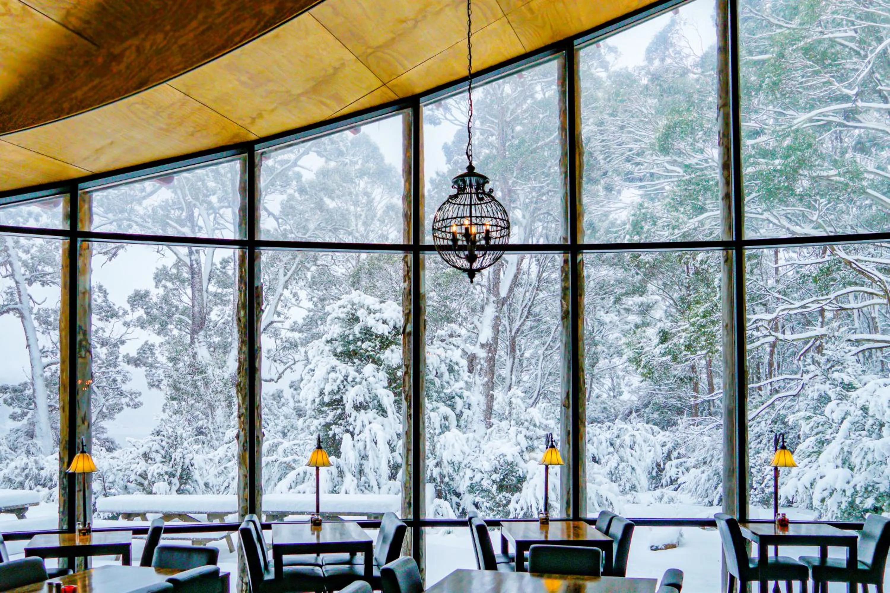 Restaurant/places to eat in Lake St Clair Lodge