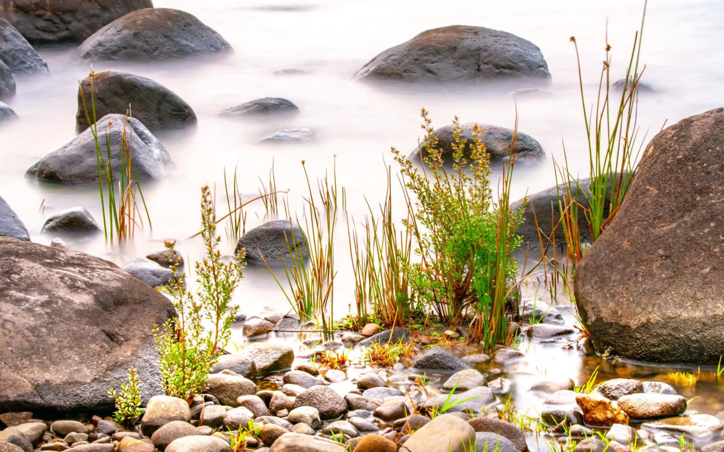 Natural landscape in Lake St Clair Lodge