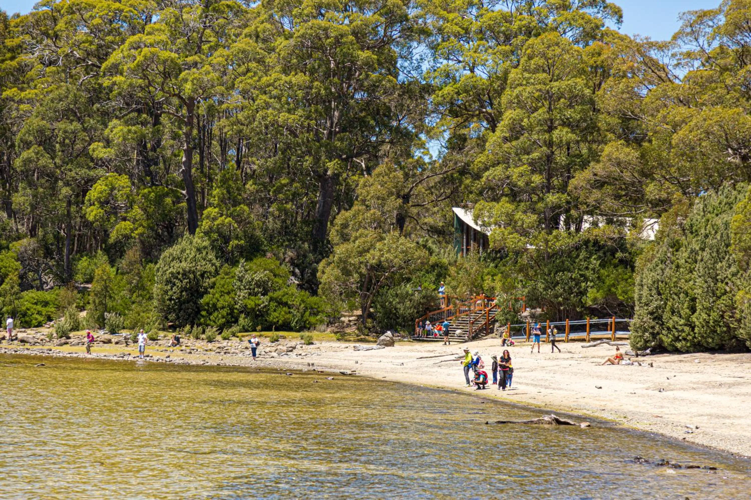 Nearby landmark in Lake St Clair Lodge