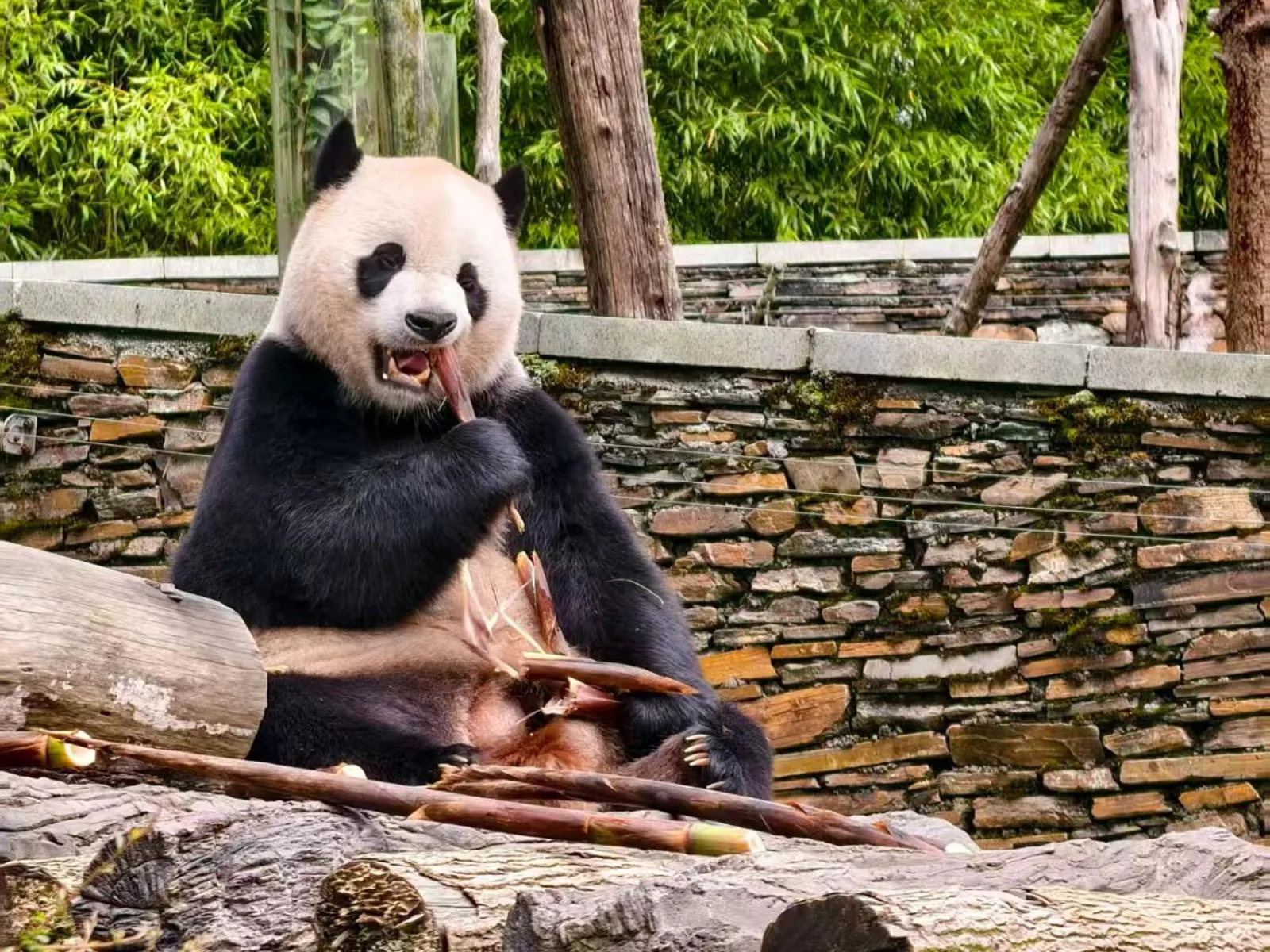 Nearby landmark in Holiday Inn Express Chengdu Gulou