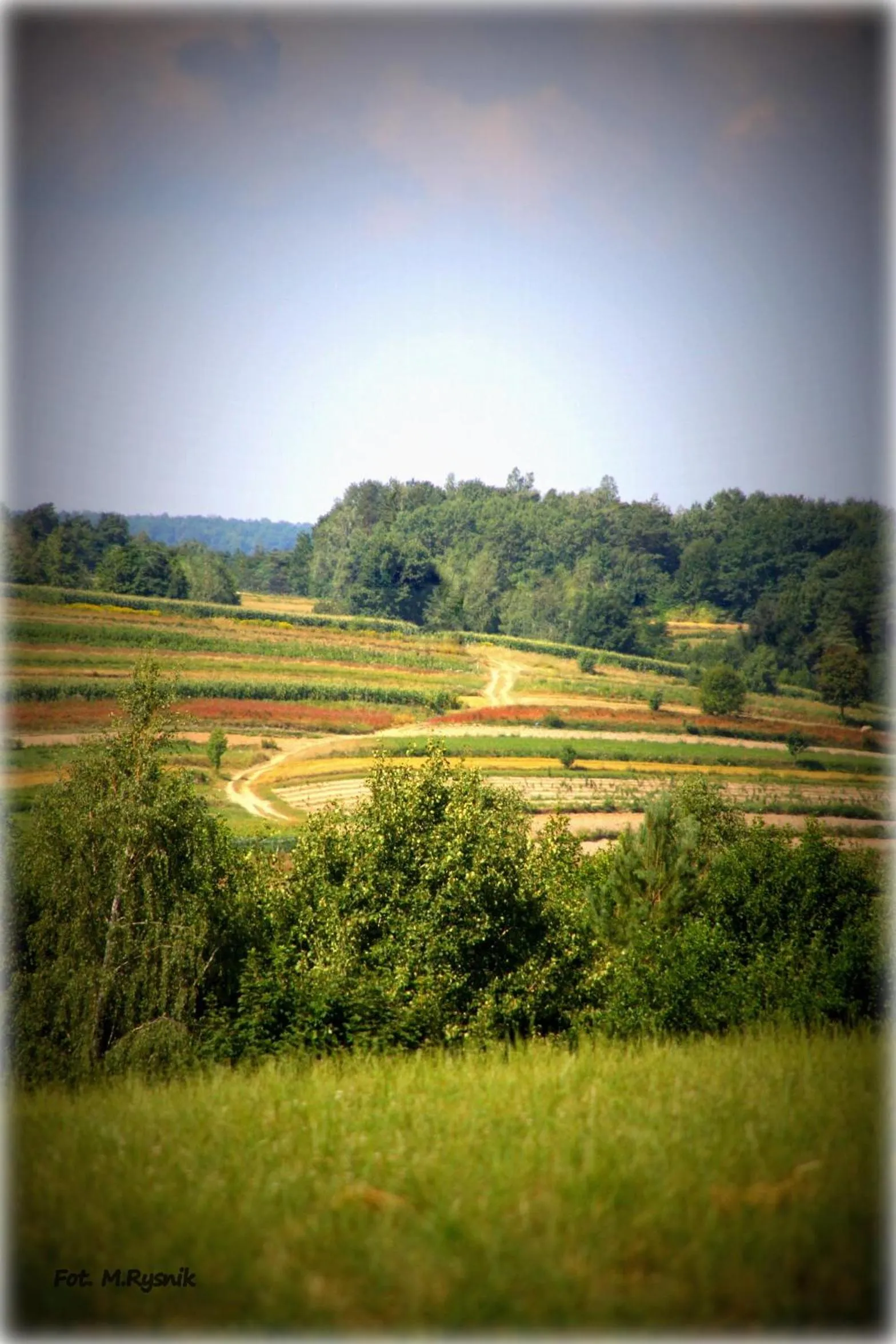 Golfcourse in Dwór Sanna
