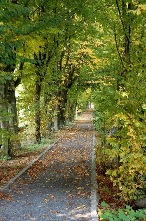 Garden in Dwór Sanna