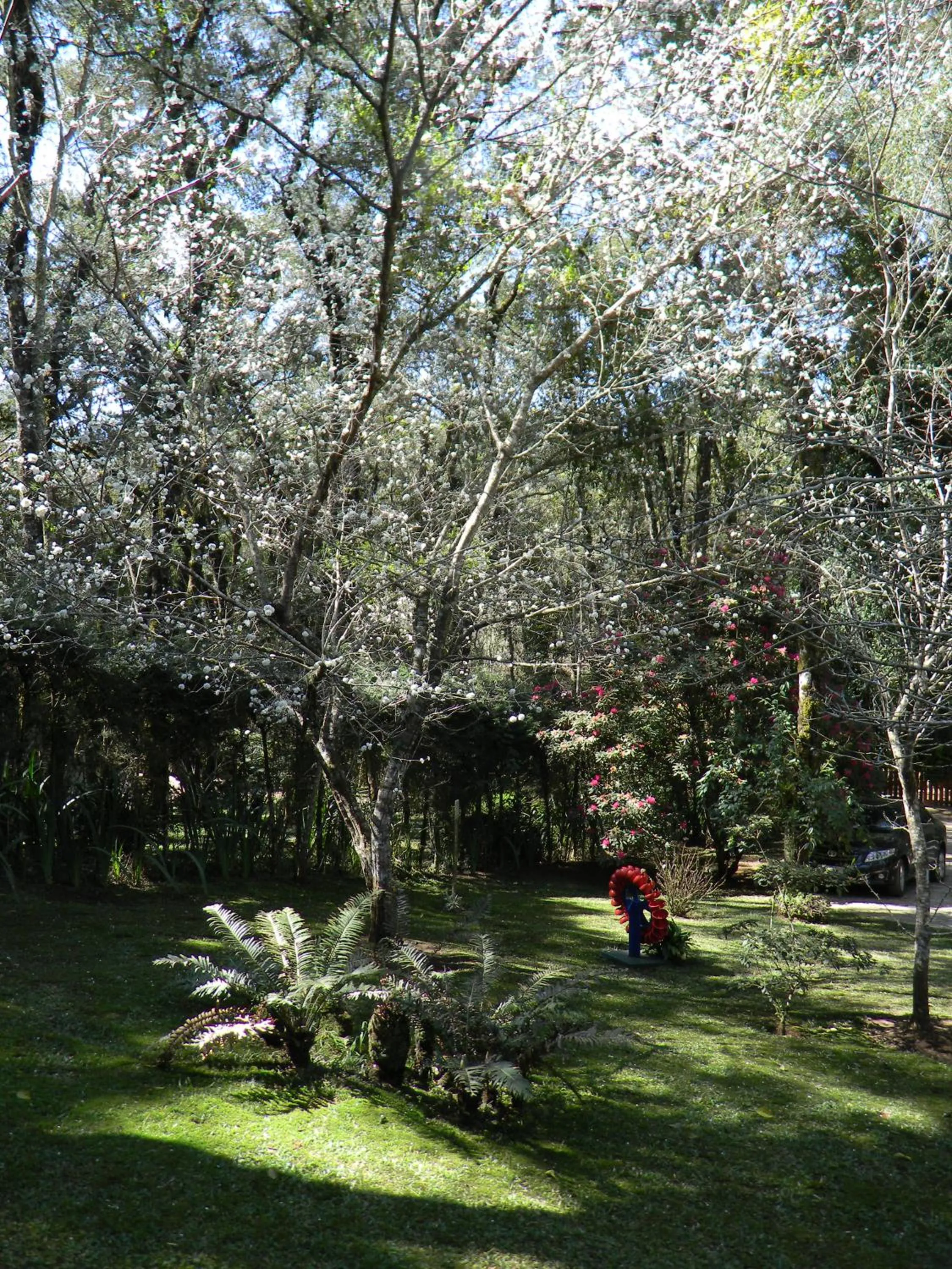 Recanto dos Kerr