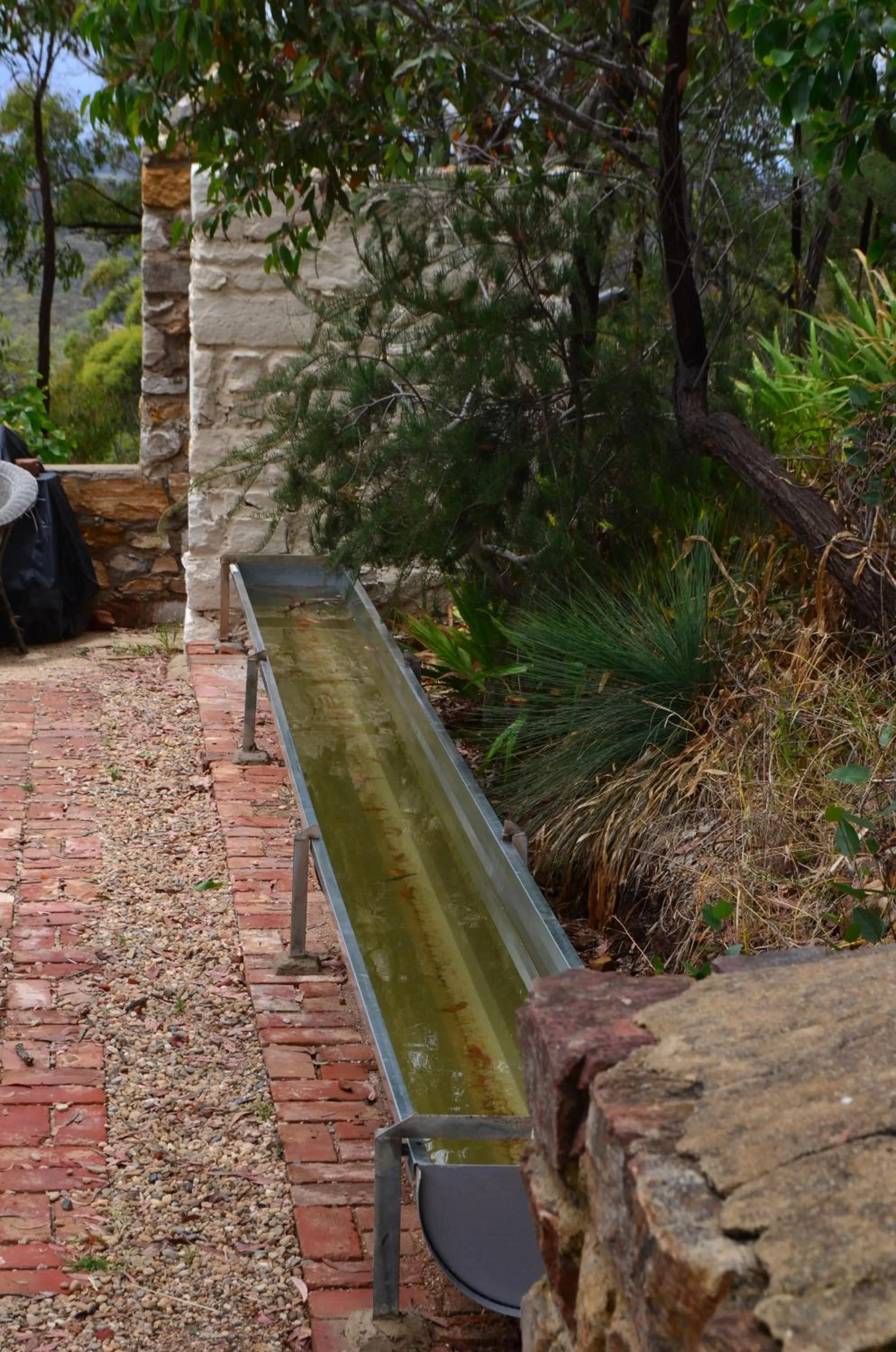 Garden in Trestrail Cottage Accommodation