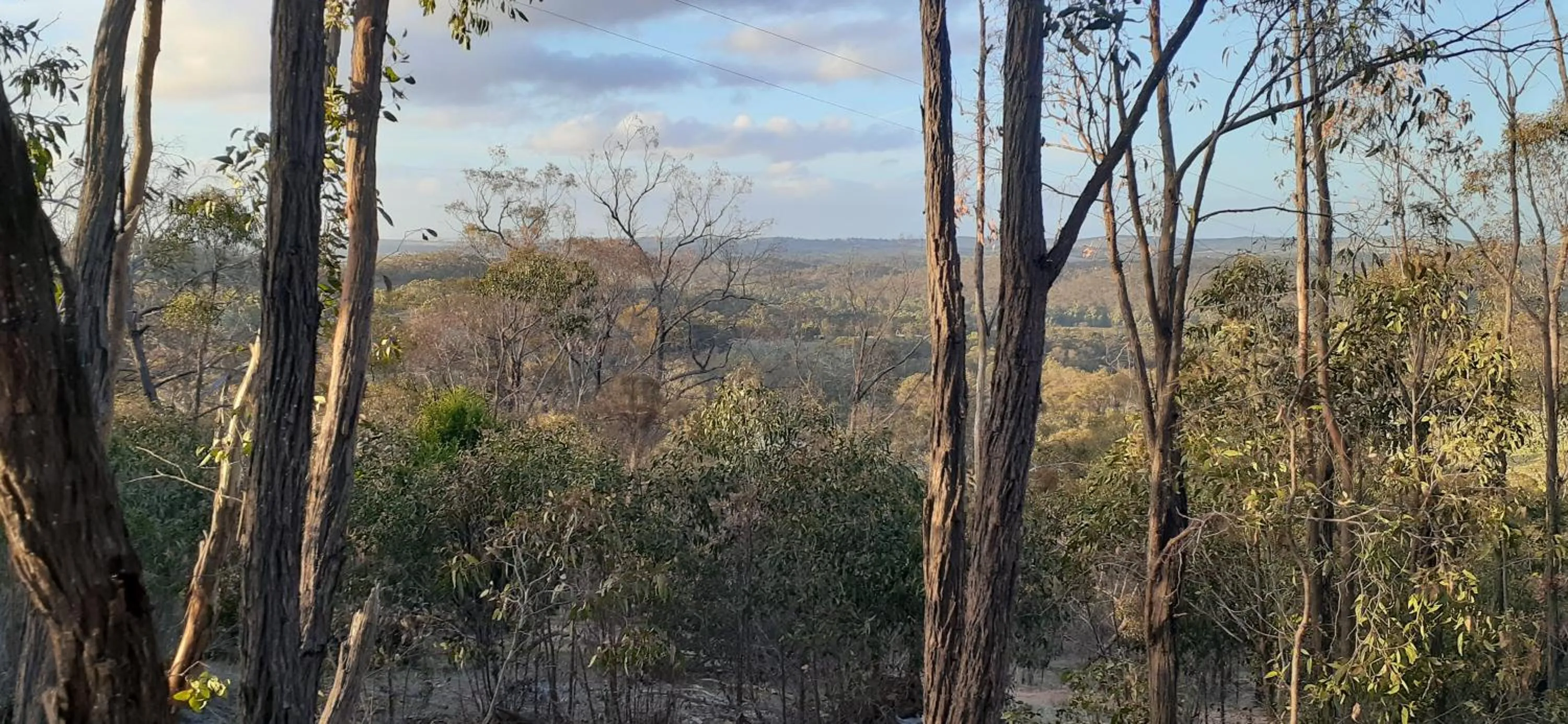 Natural landscape in Trestrail Cottage Accommodation