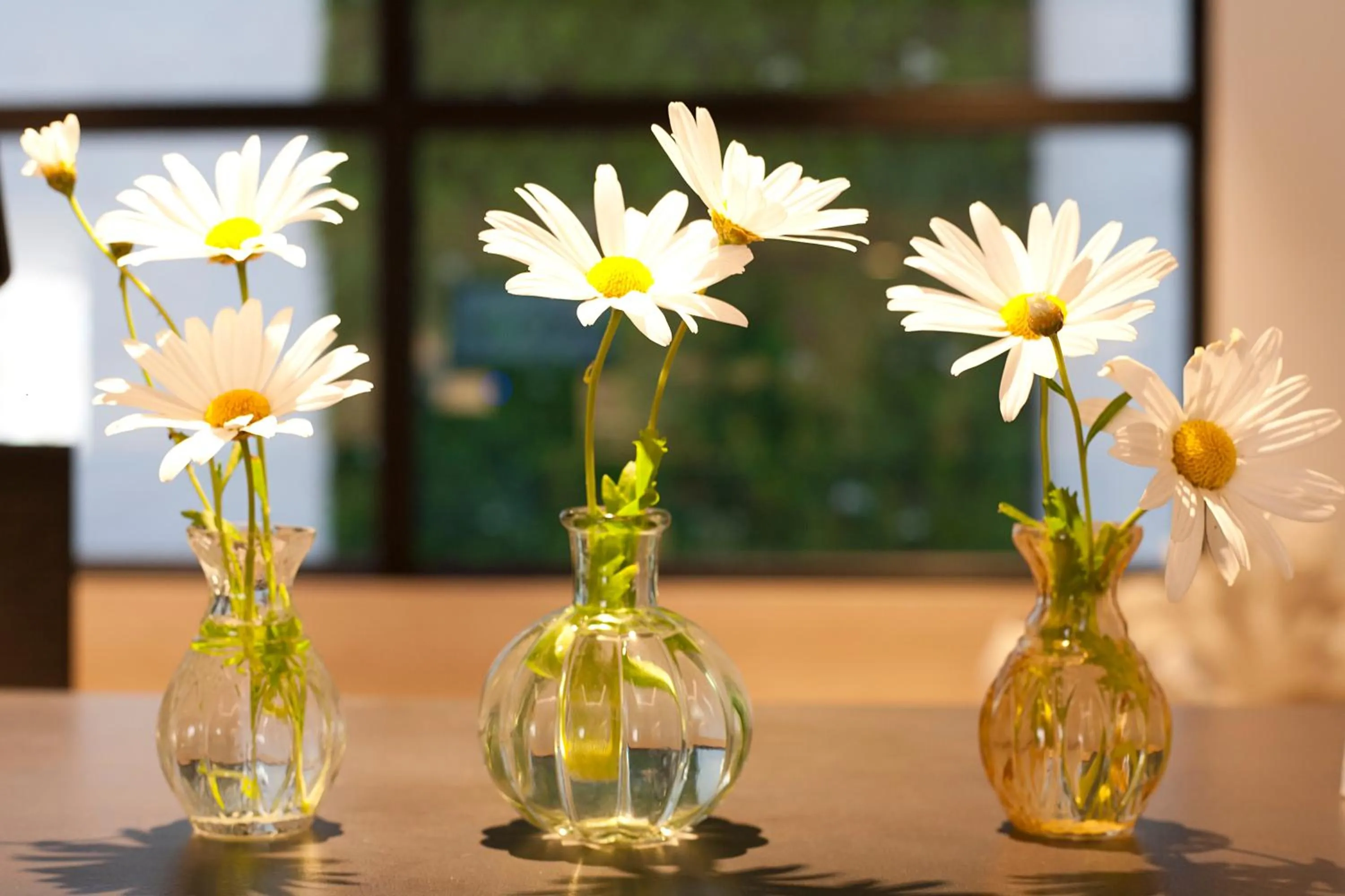 Lobby or reception in Aparthotel Novo Mar