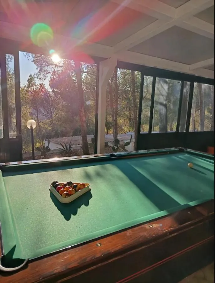 Billiard in Villa Marhù