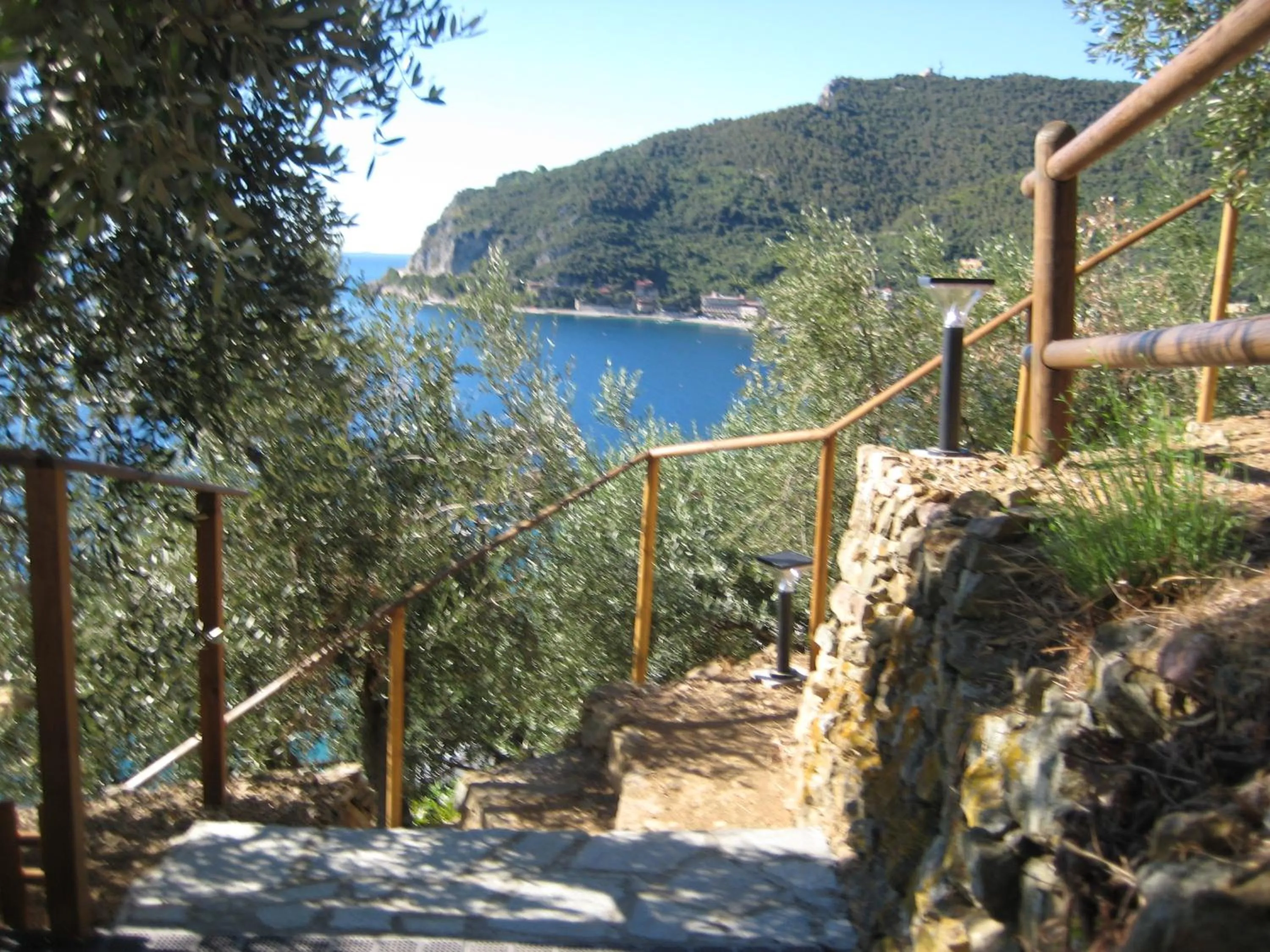 Garden in Palazzo Vescovile Hotel