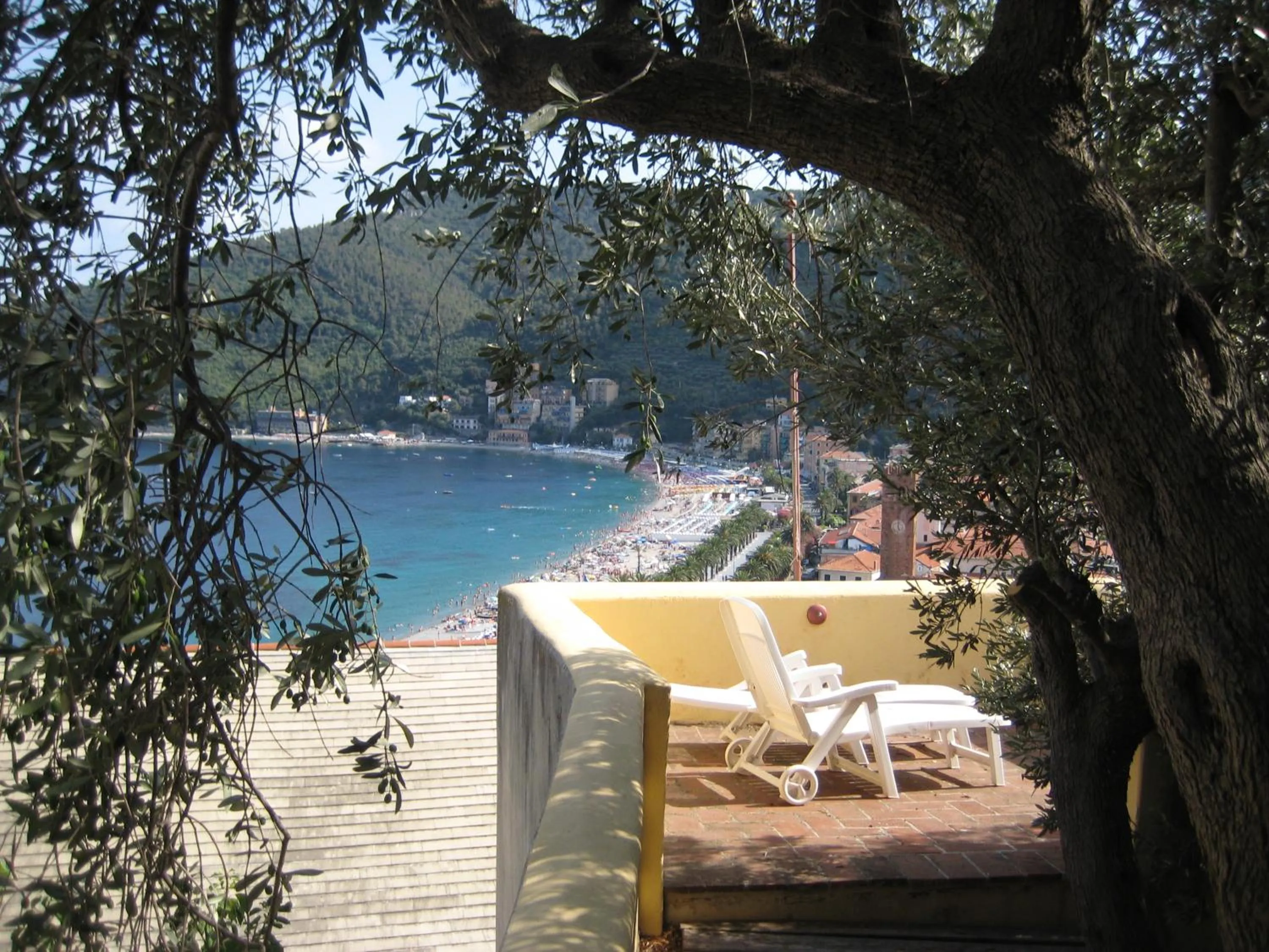 Garden in Palazzo Vescovile Hotel