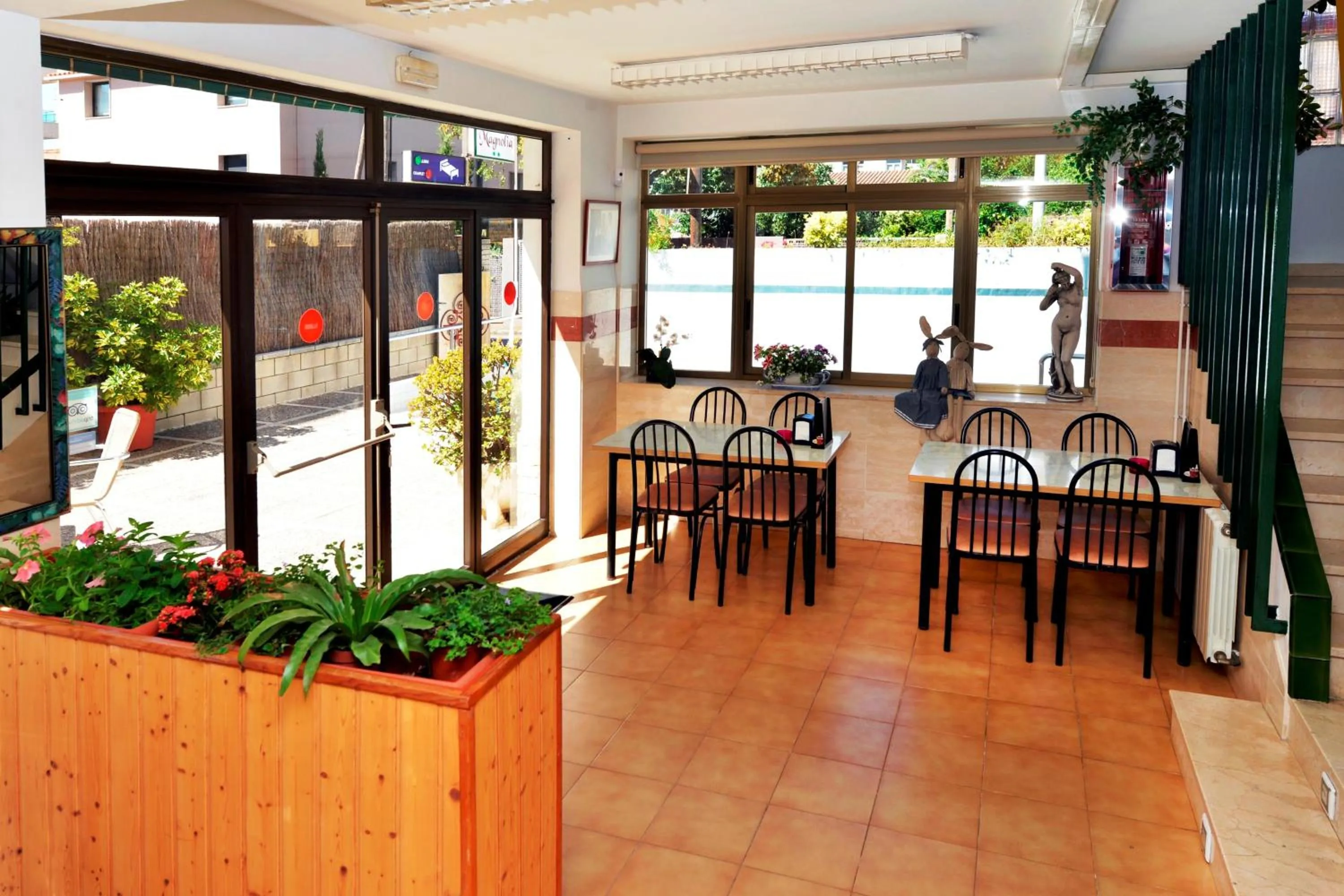 Restaurant/places to eat in Hostal Magnolia